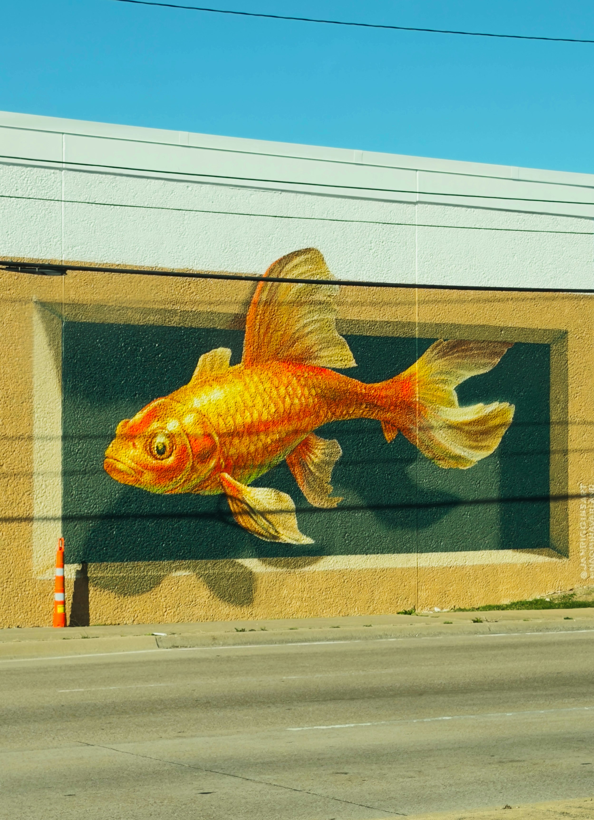 A large goldfish mural painted on a wall.