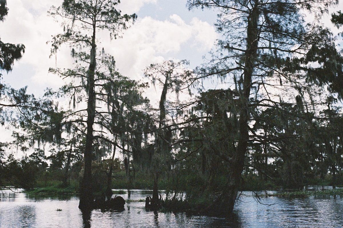 Loxahatchee River: Jonathan Dickinson State Park