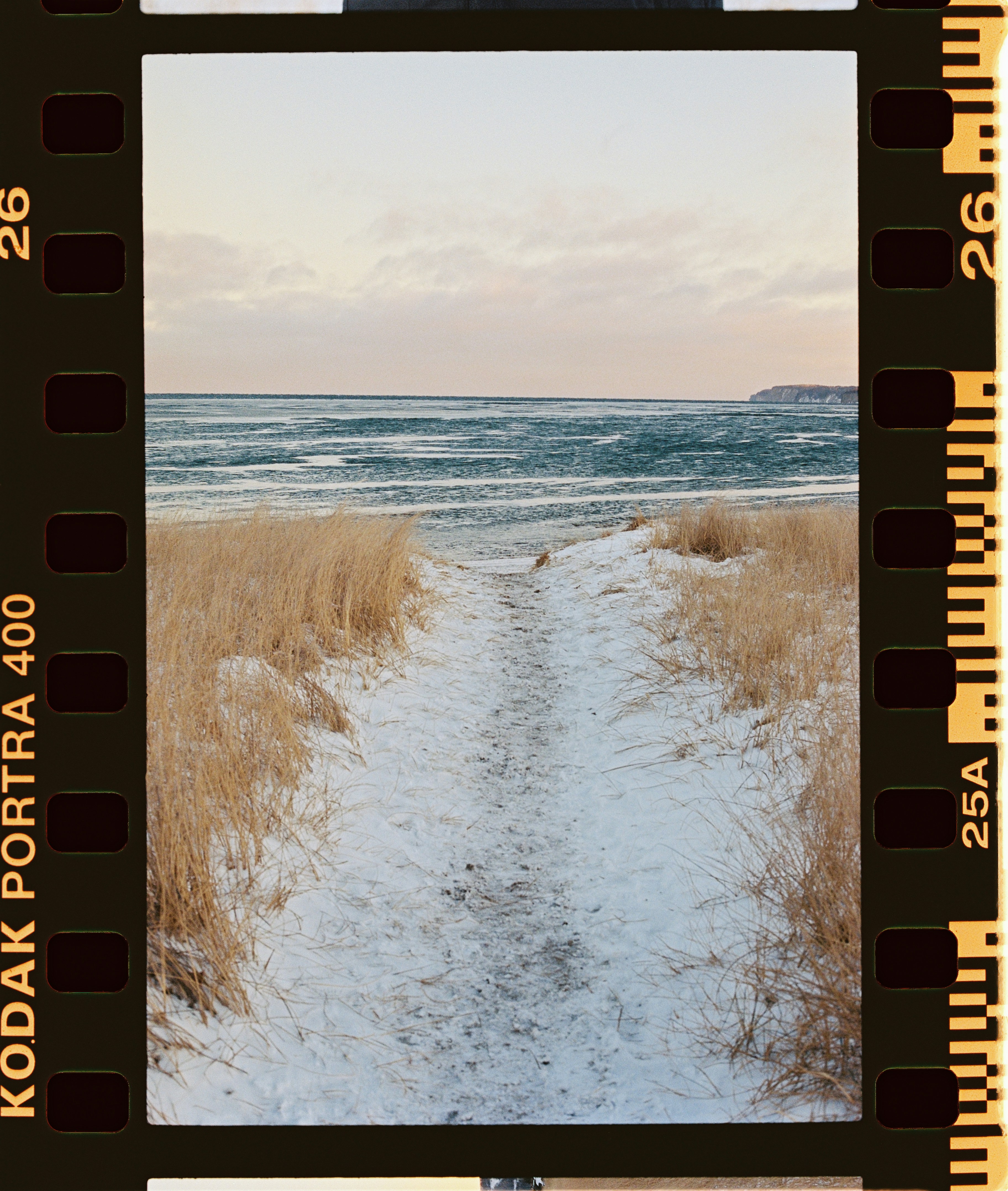 Snowy path through dry grass to the ocean