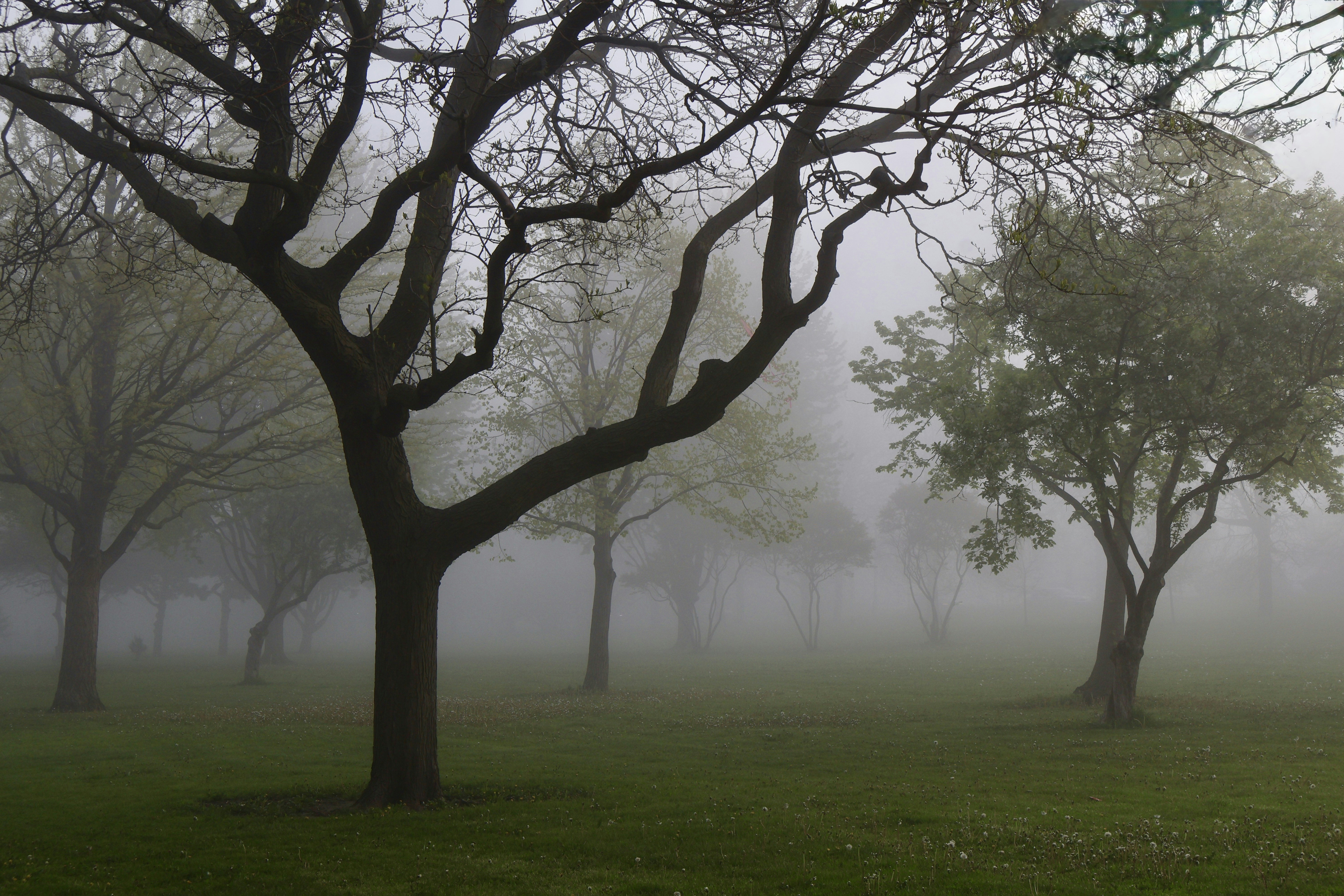 Photo by kevindephillips