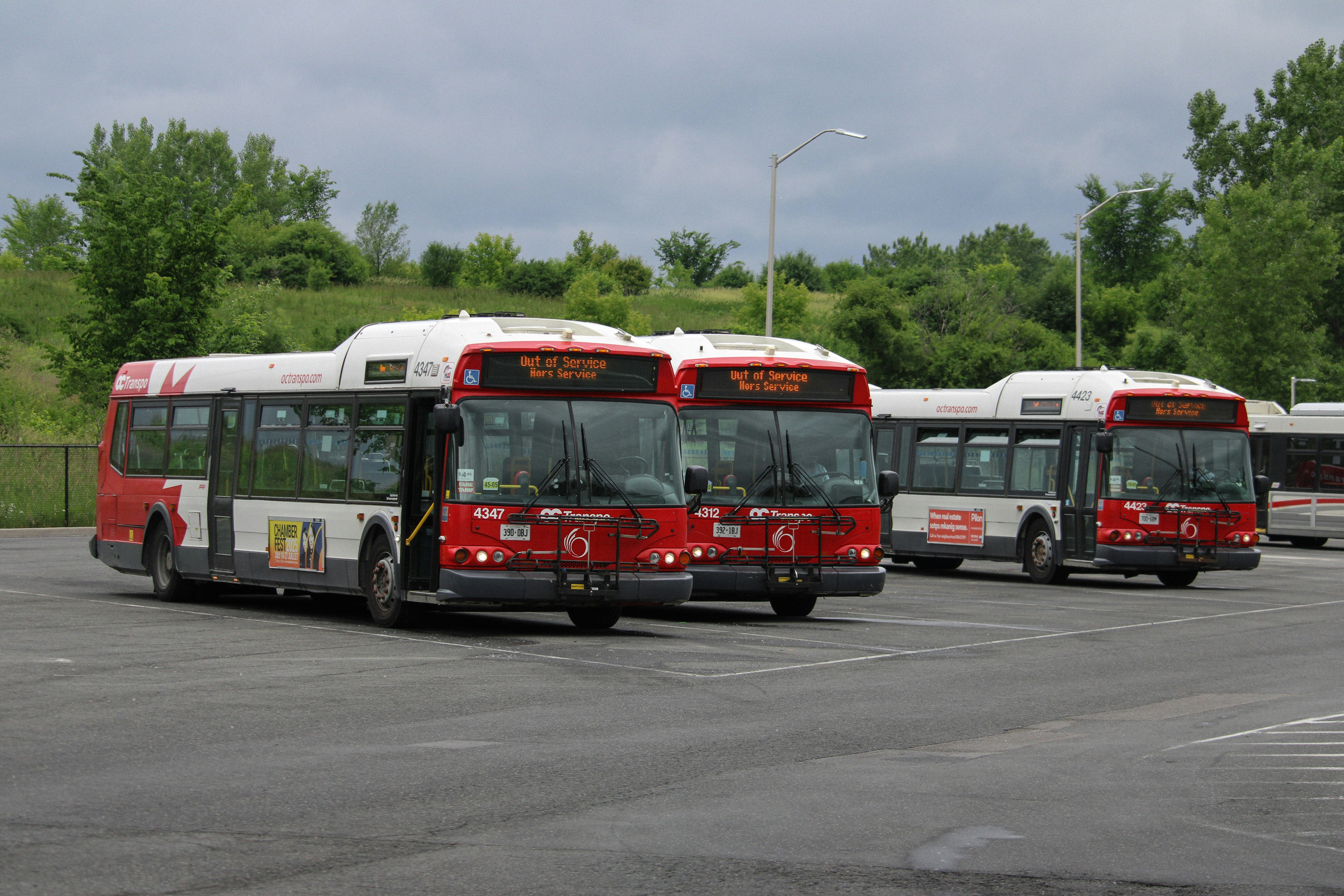 Bus Fleet