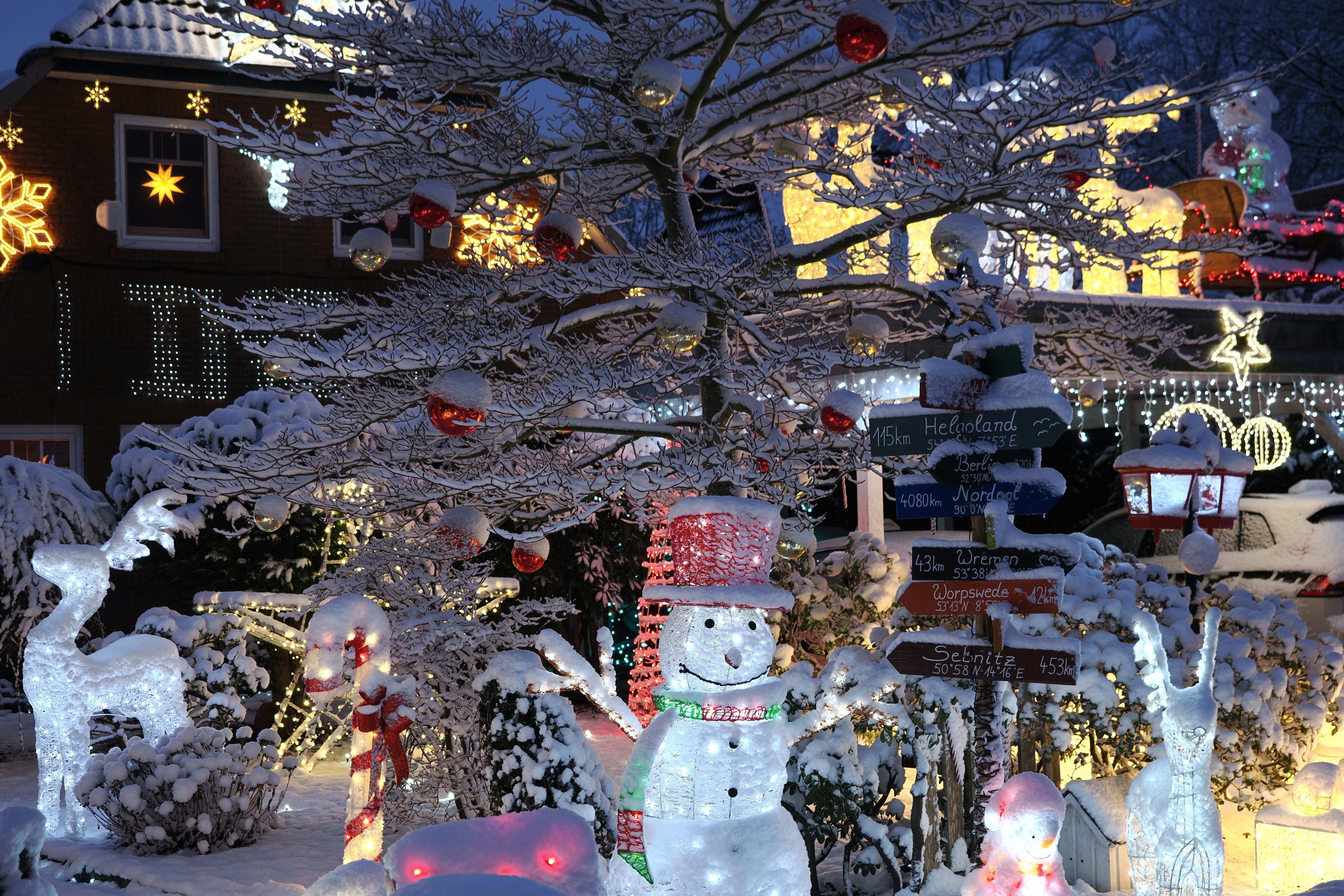 Photo by fotografie_thomas_nolte