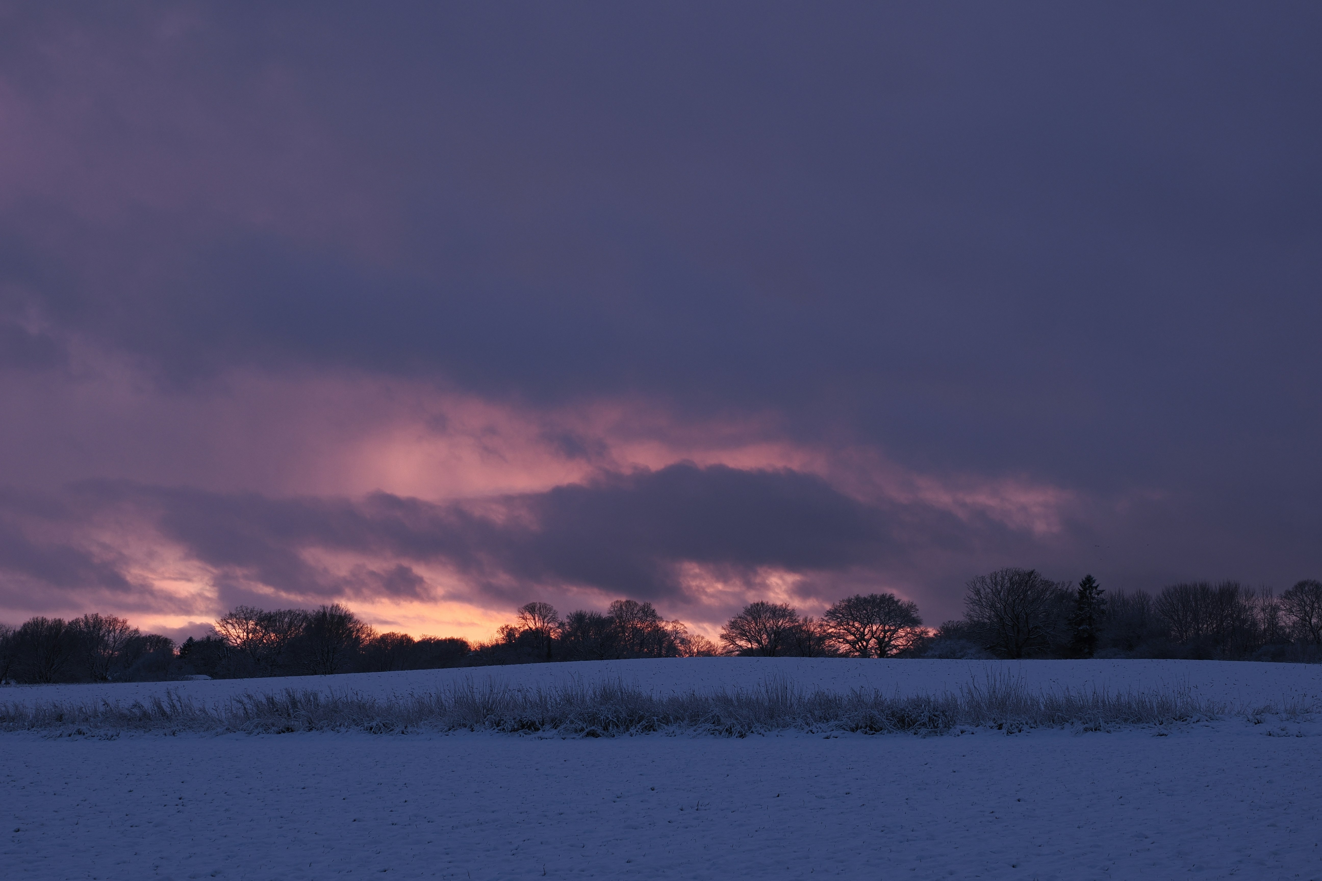 Photo by fotografie_thomas_nolte