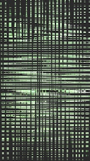 Abstract pattern of intersecting green and black lines.