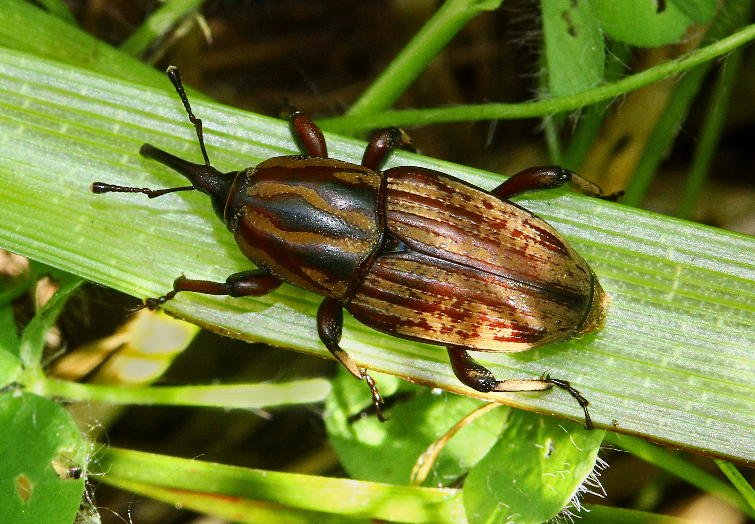 How I Used AI to Debug My Crashing Laptop