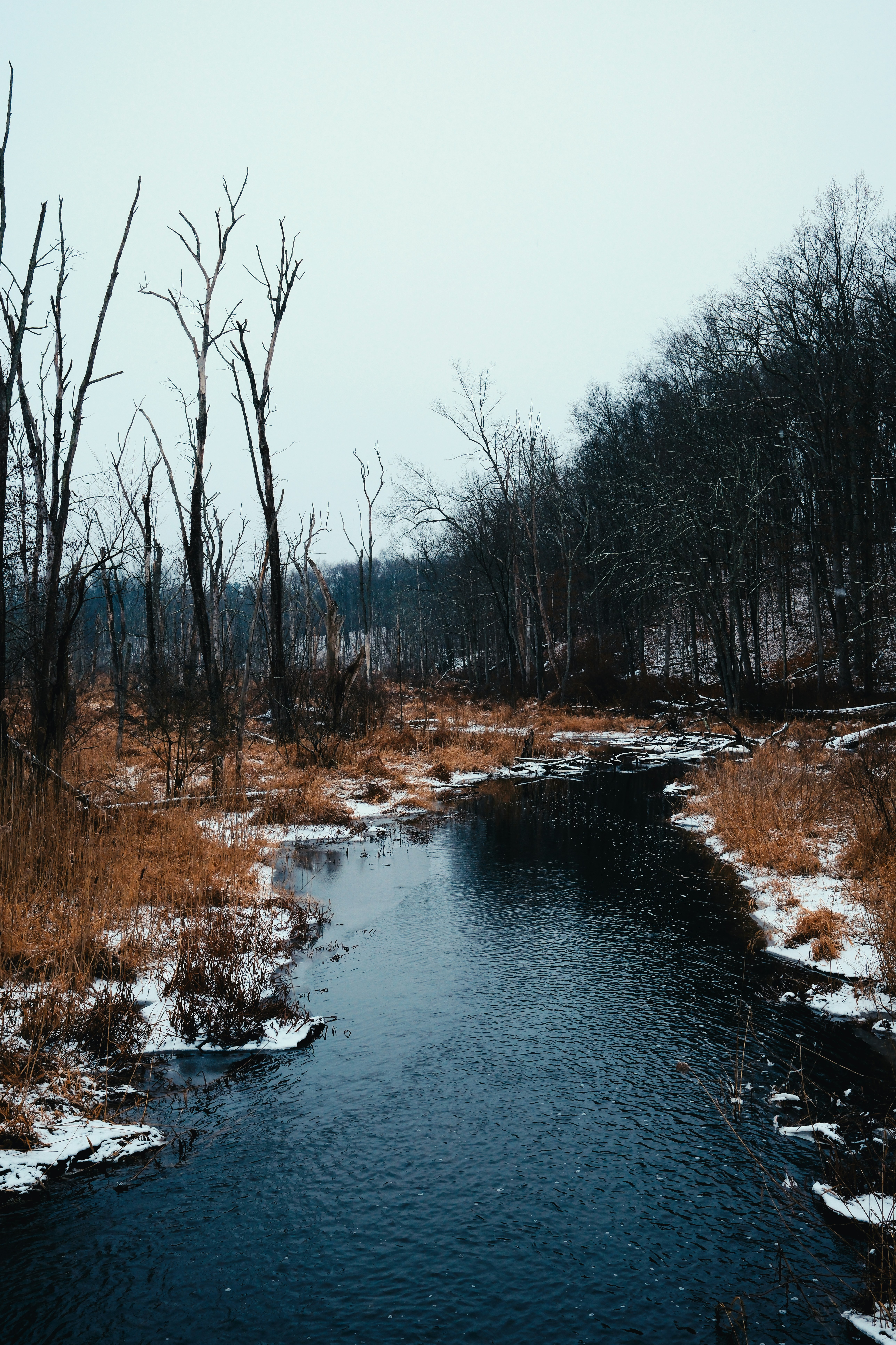 Photo by theolaflamme