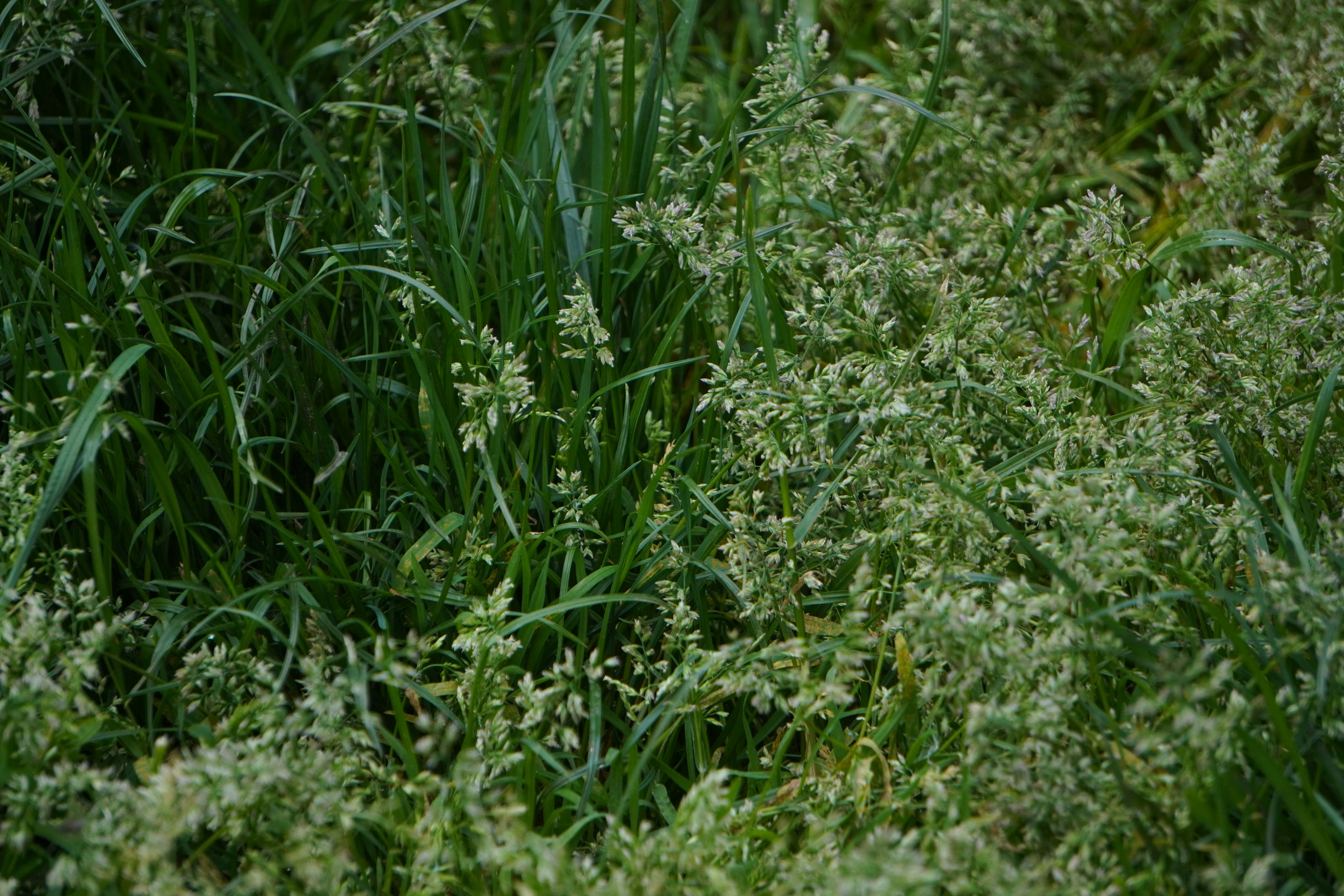 Field Guide: Micro‑Event Food Stalls & Compact Catering Kits for 2026 — Operations, Safety, and Profit