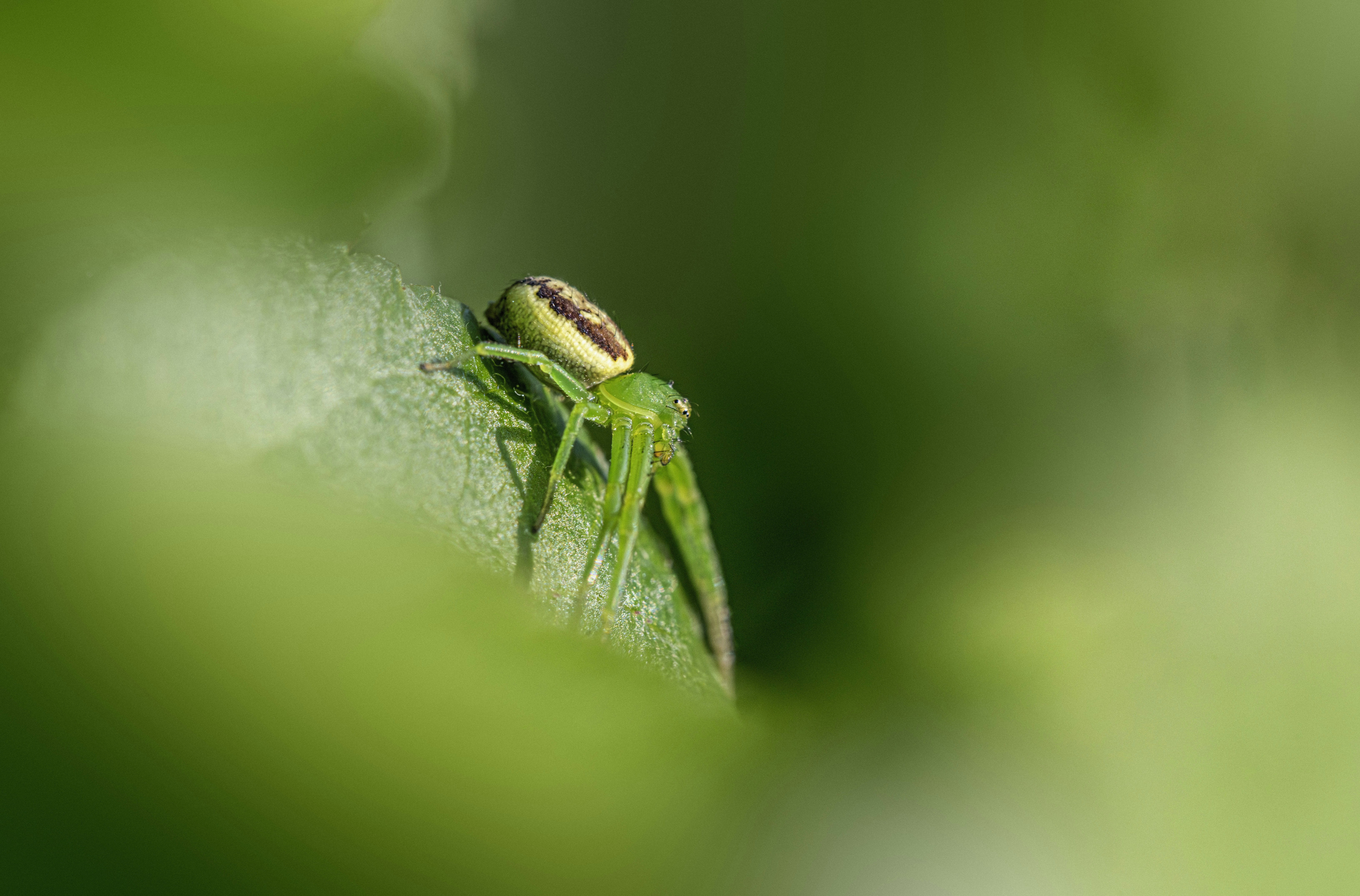 Photo by erik_karits