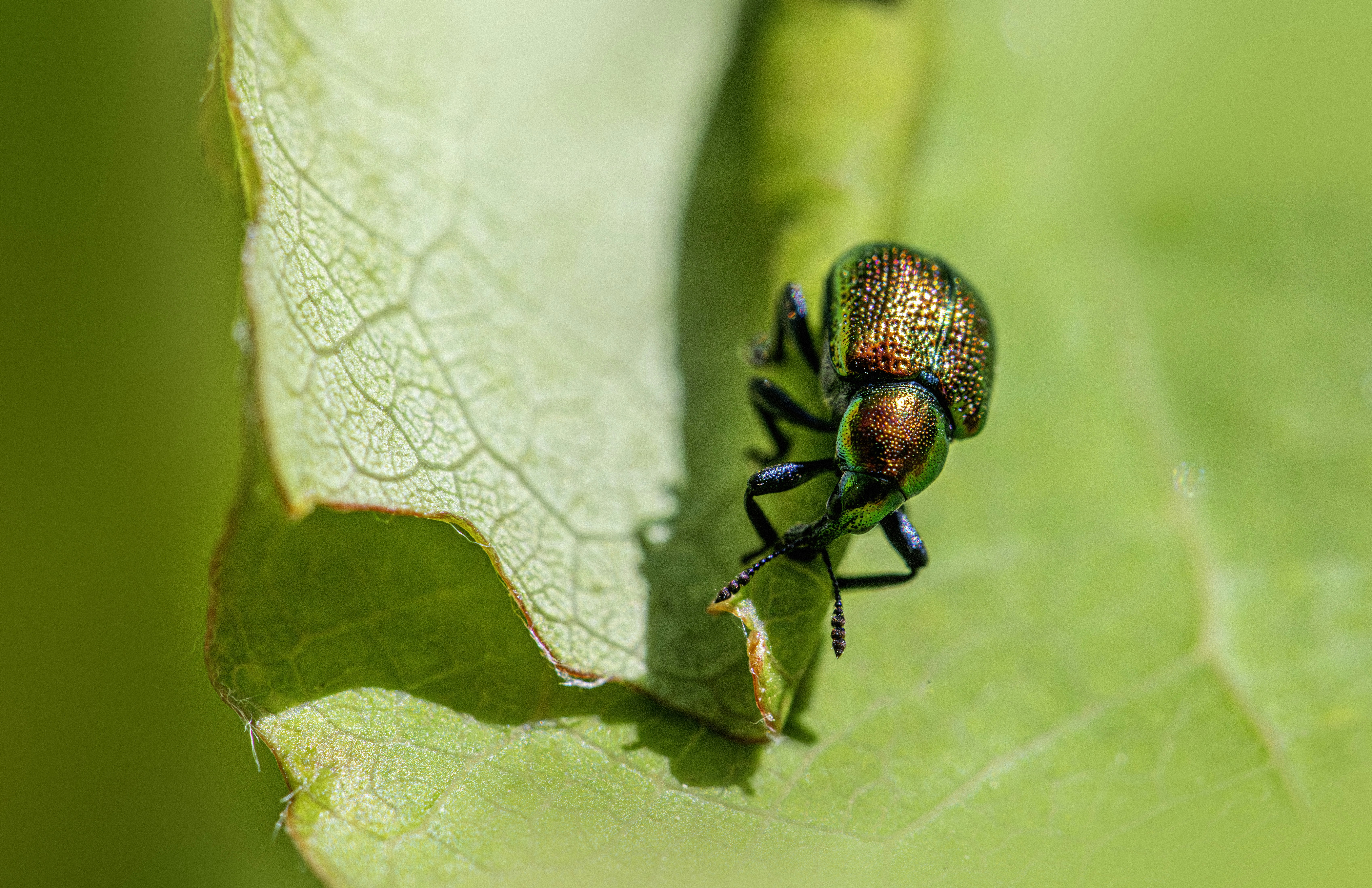 Photo by erik_karits