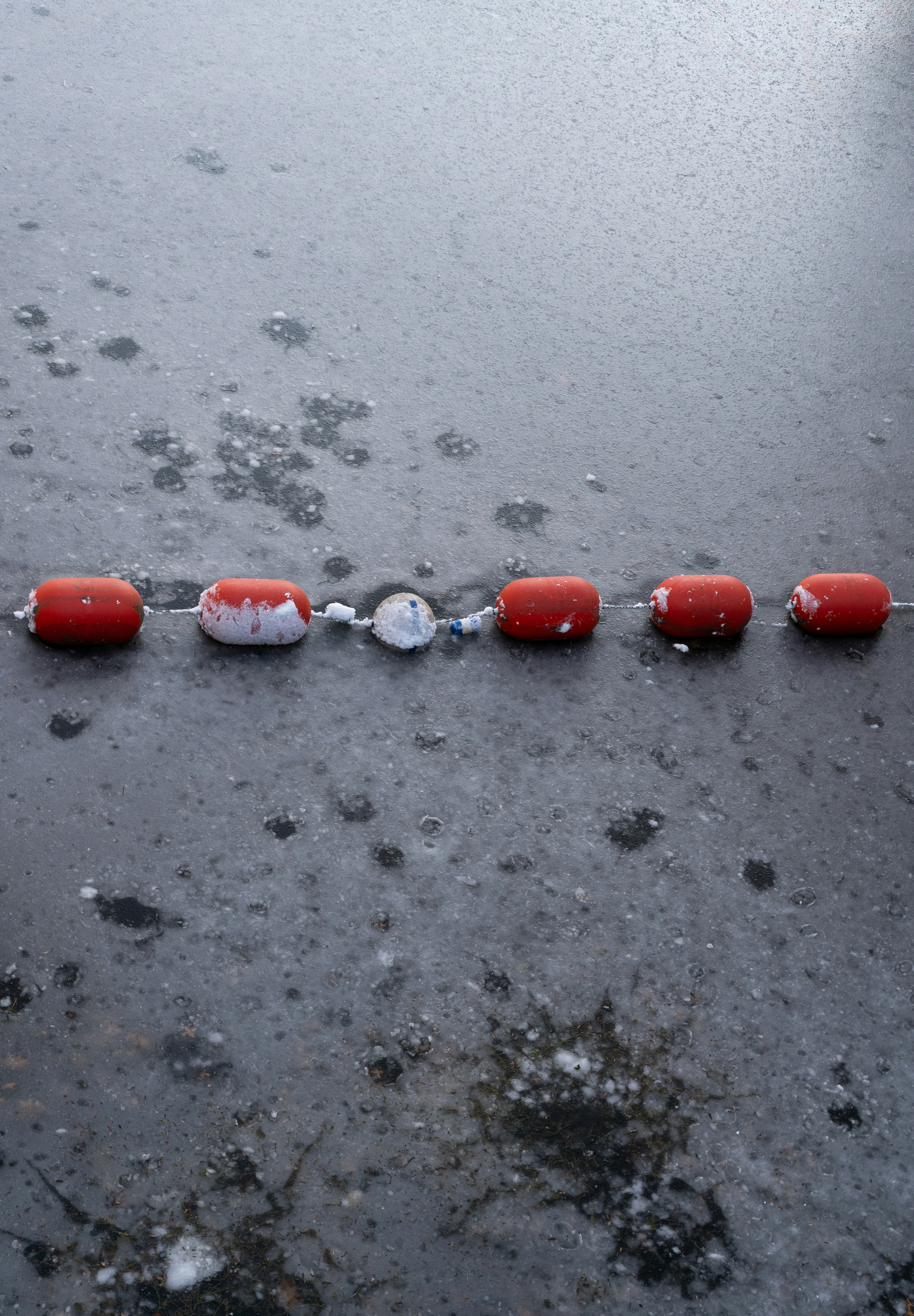 Bouées rouges flottant sur une surface sombre et texturée.