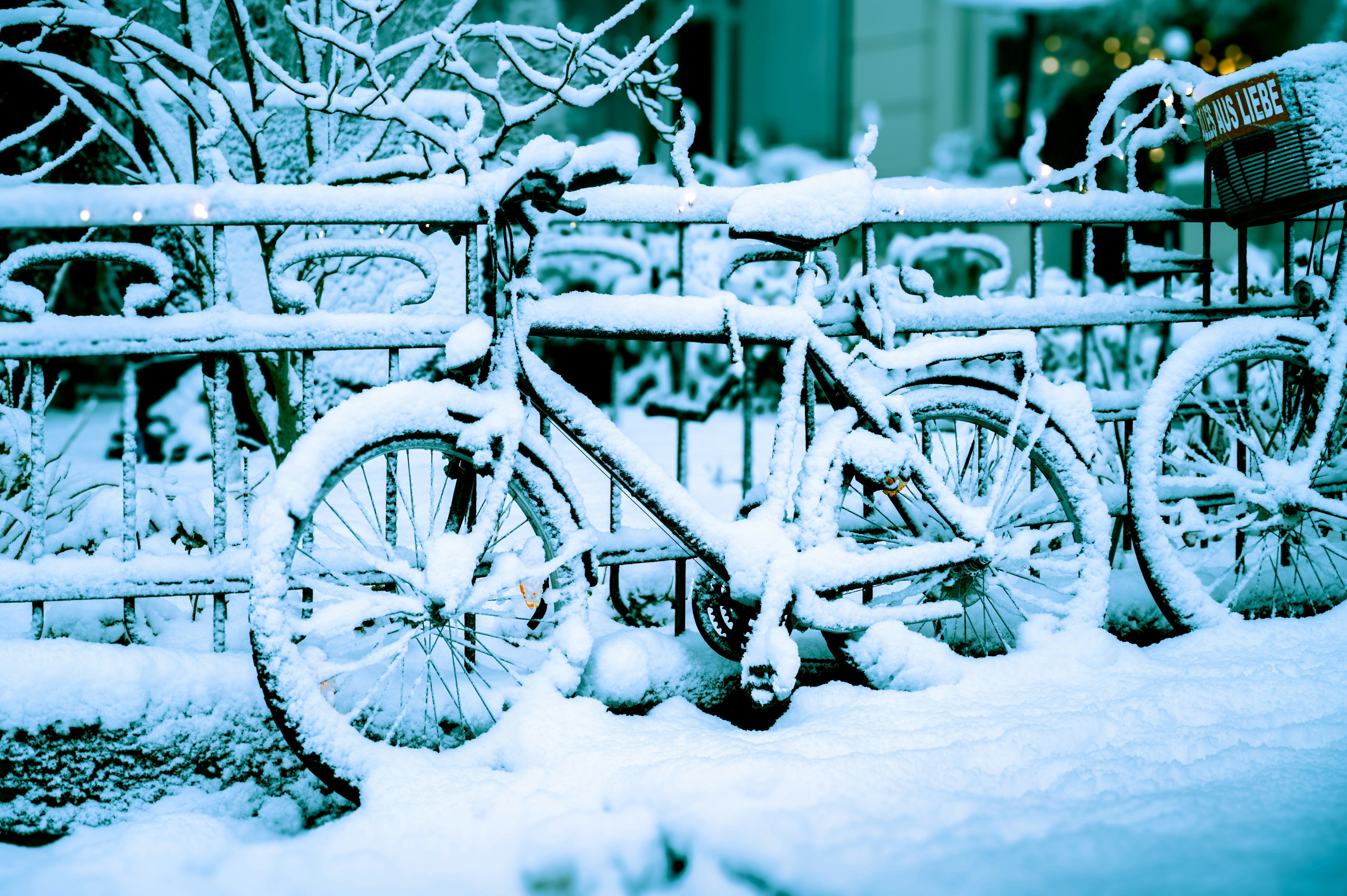 Photo by ruben_aster