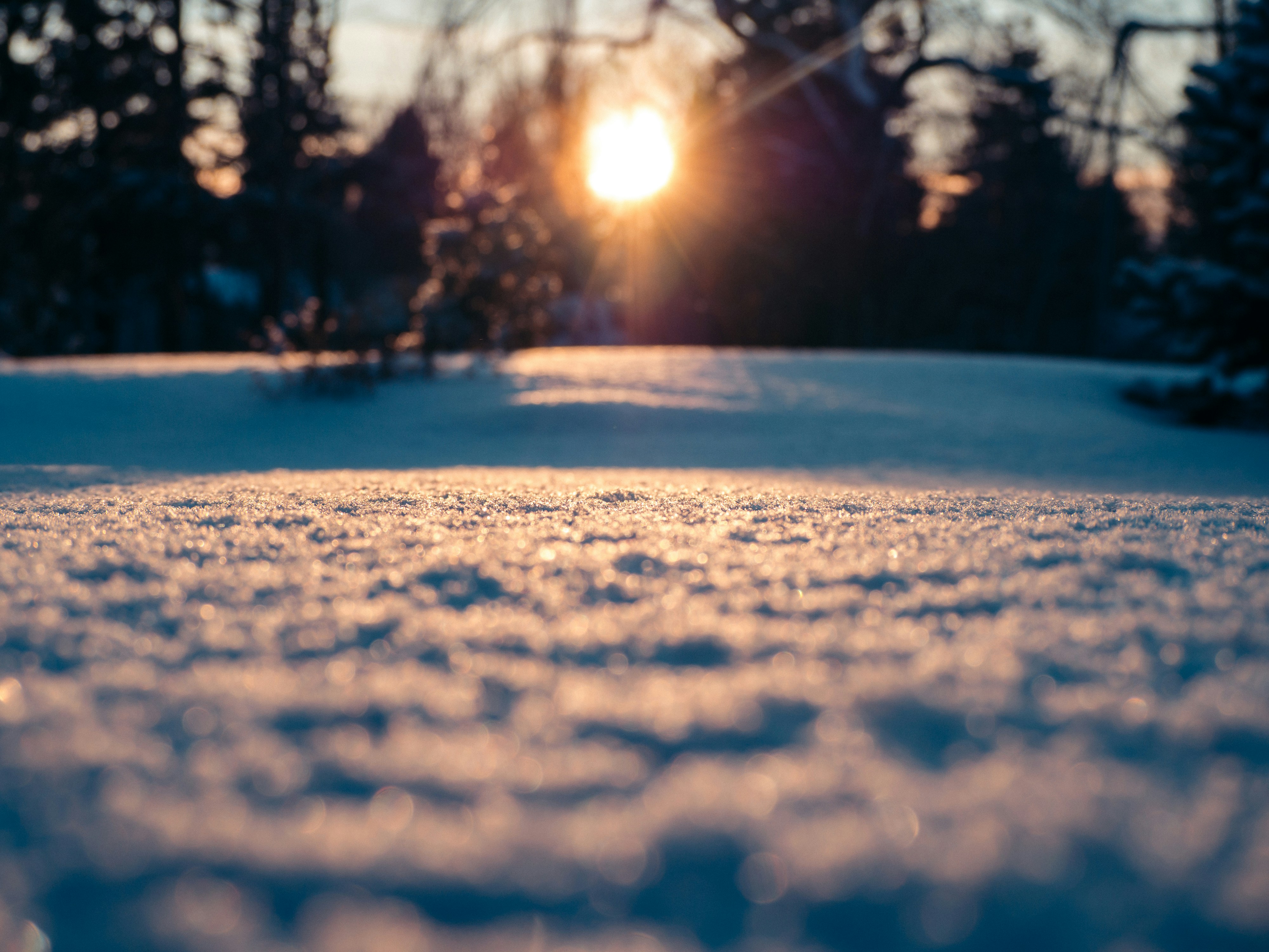 Photo by samueljames16