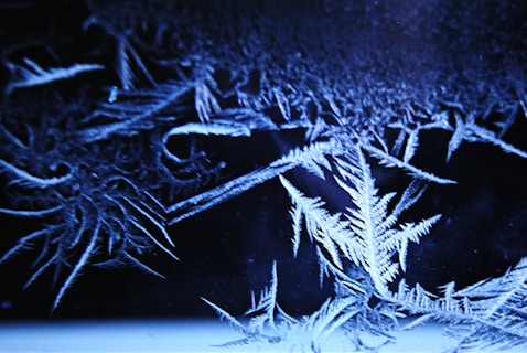 Close-up of ice crystals forming on a dark background.