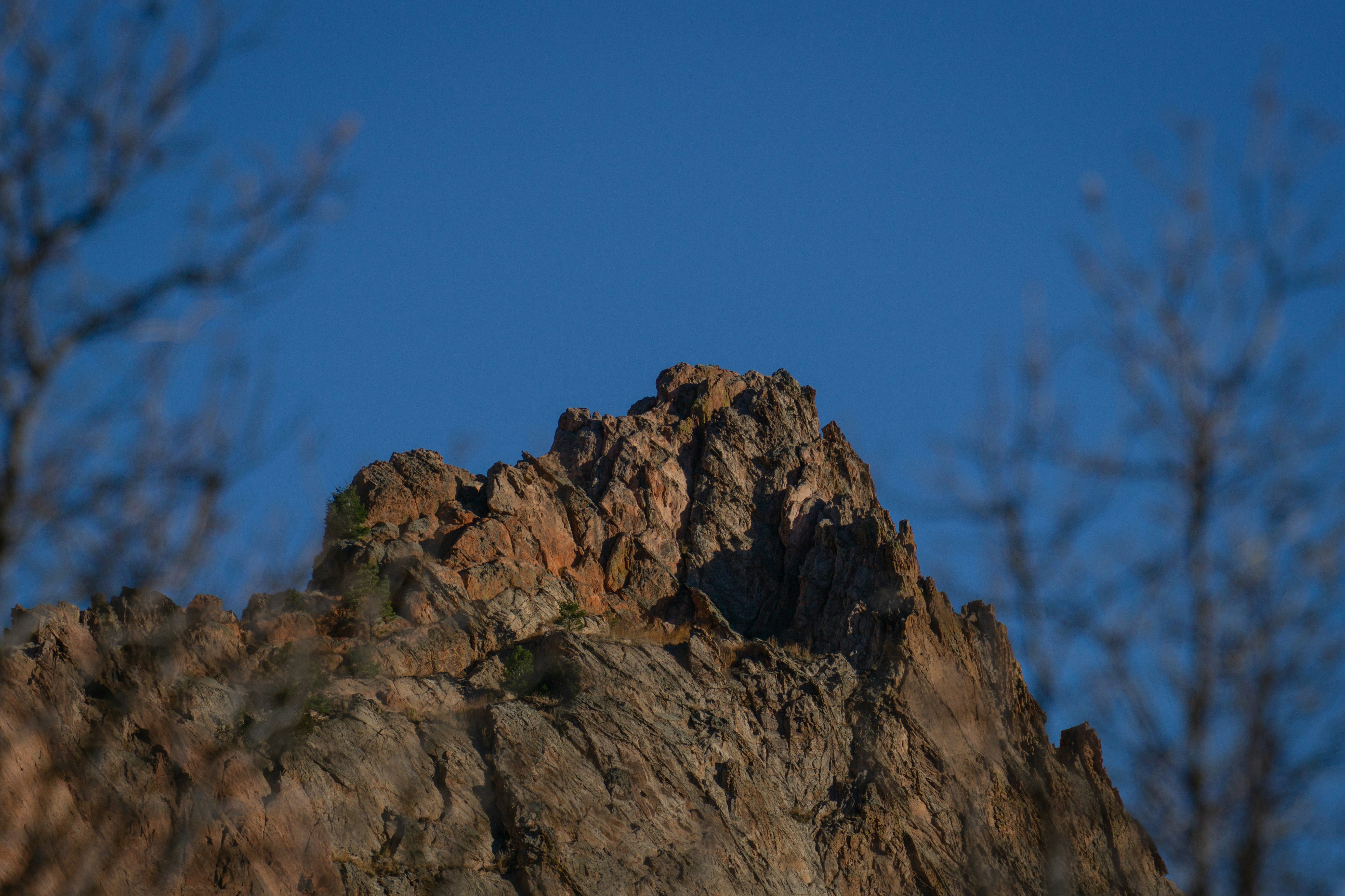 Photo by dr_omelette