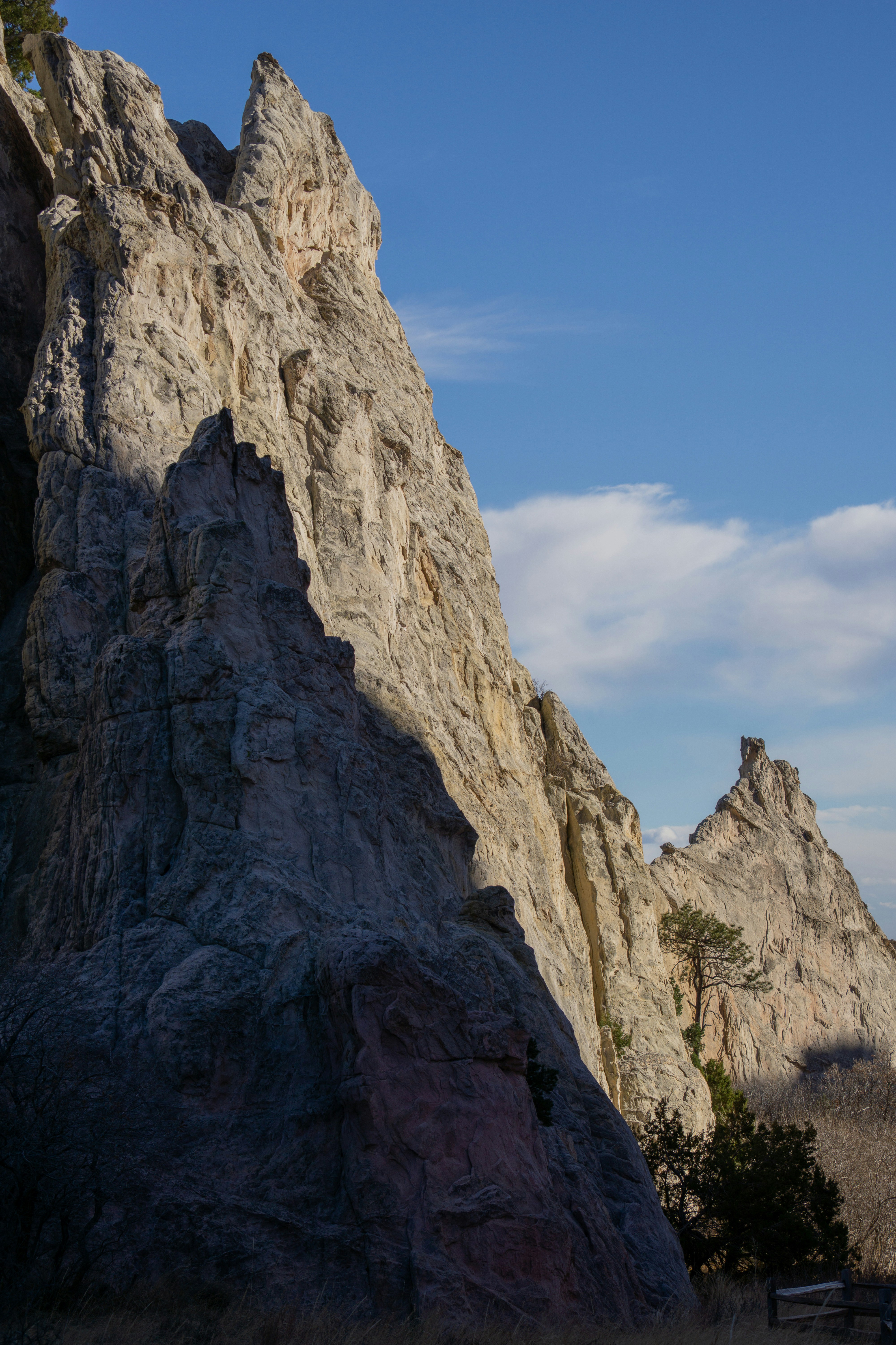 Photo by dr_omelette