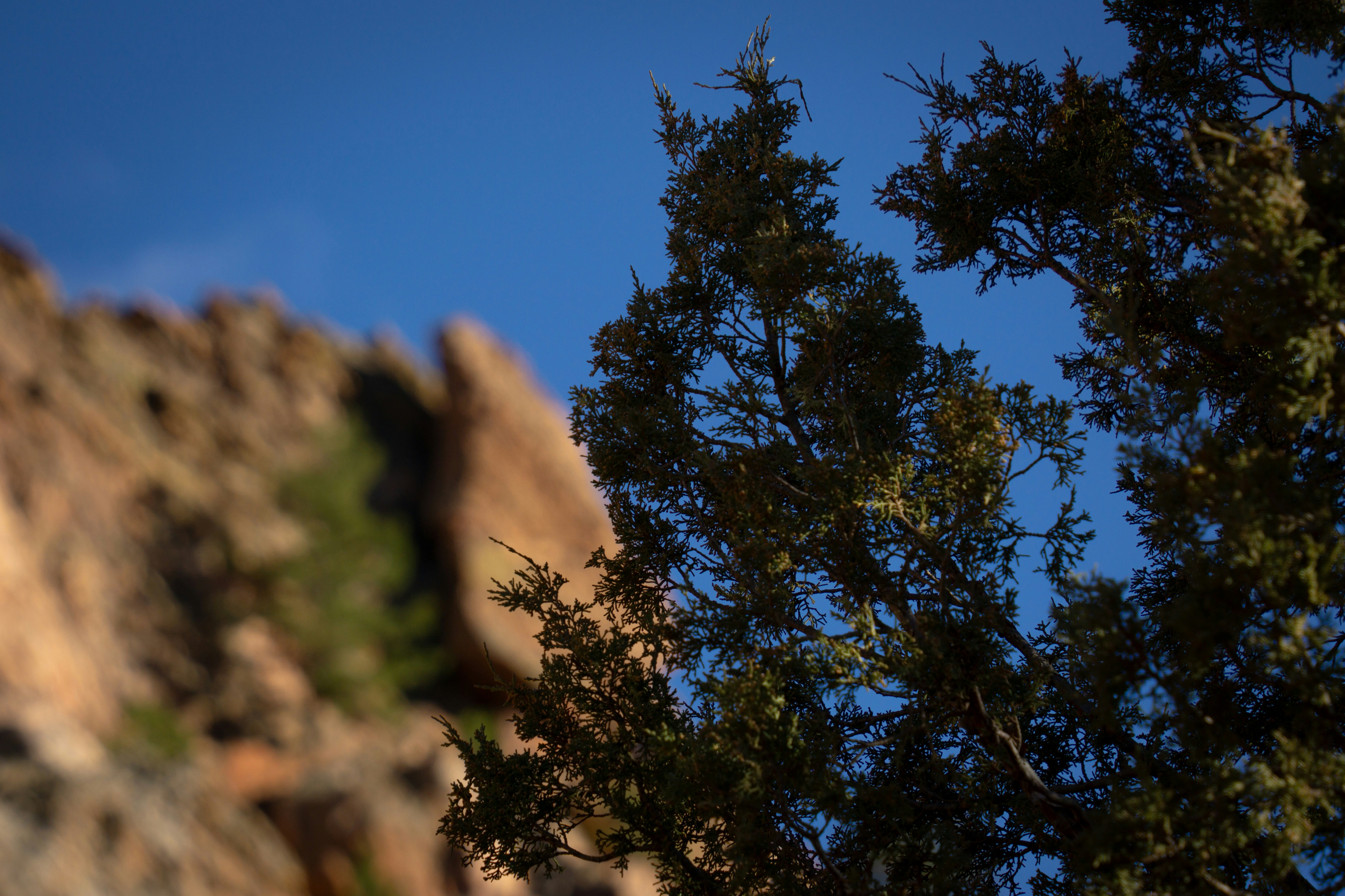 Photo by dr_omelette