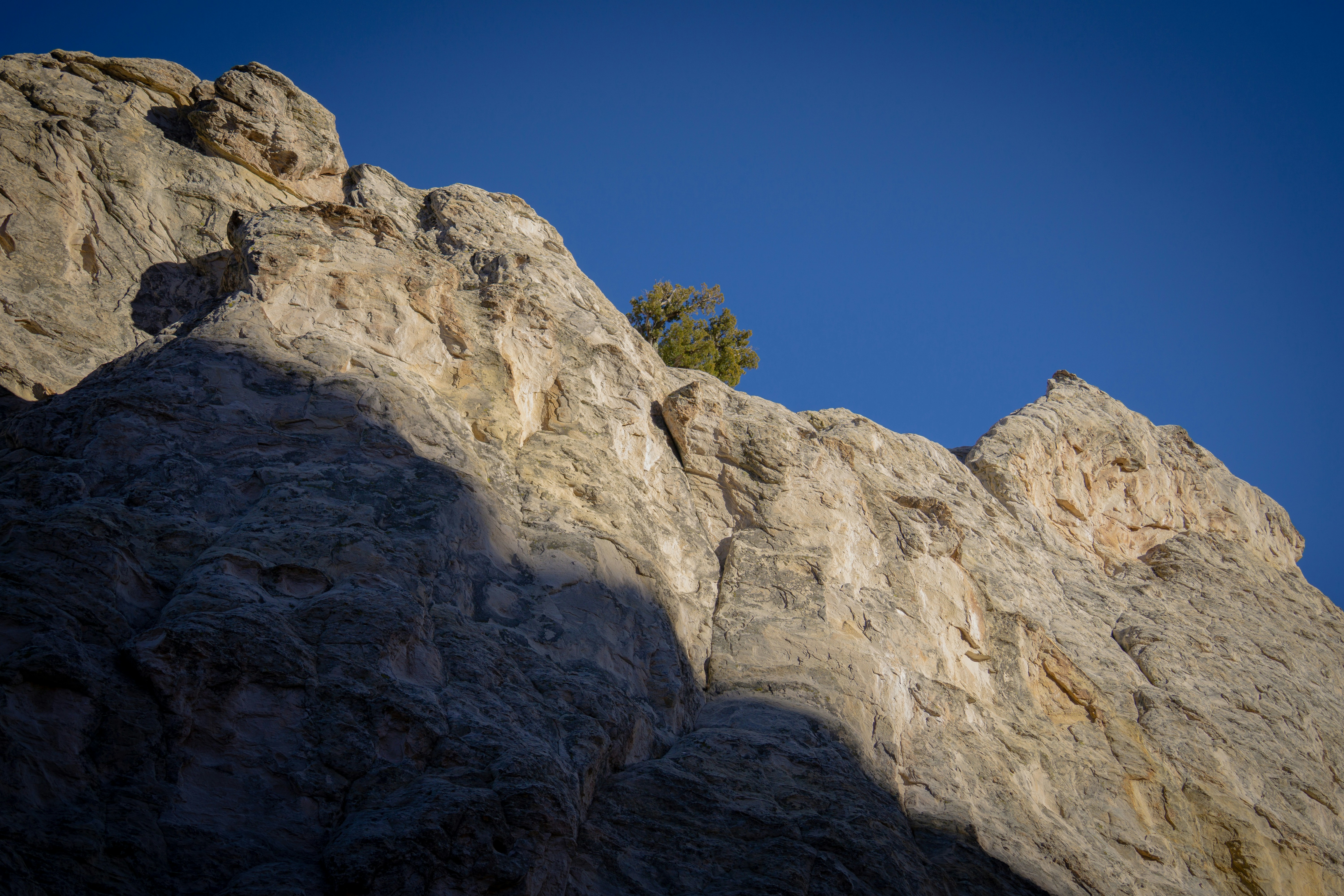 Photo by dr_omelette