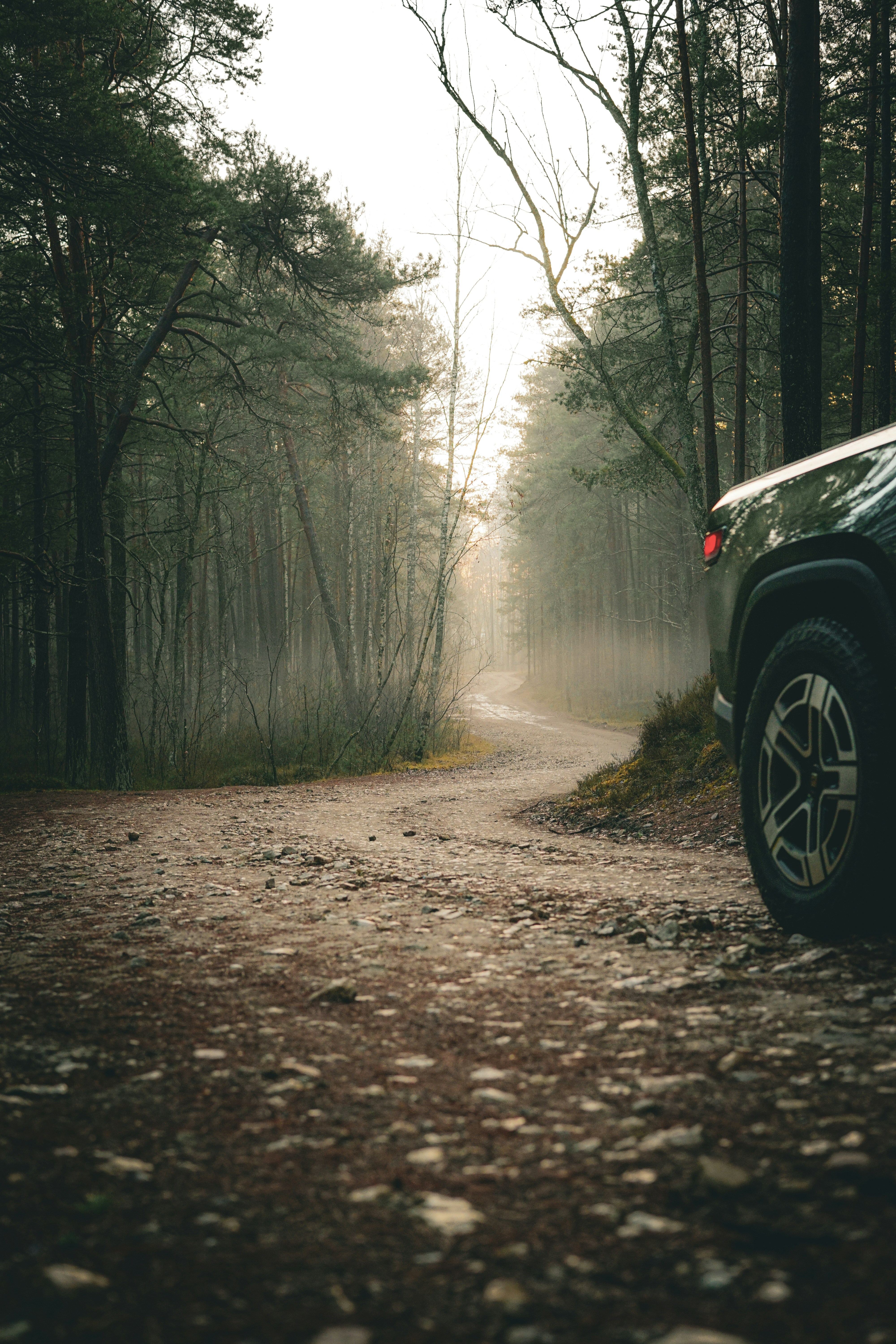 Car on a dirt road in a foggy forest