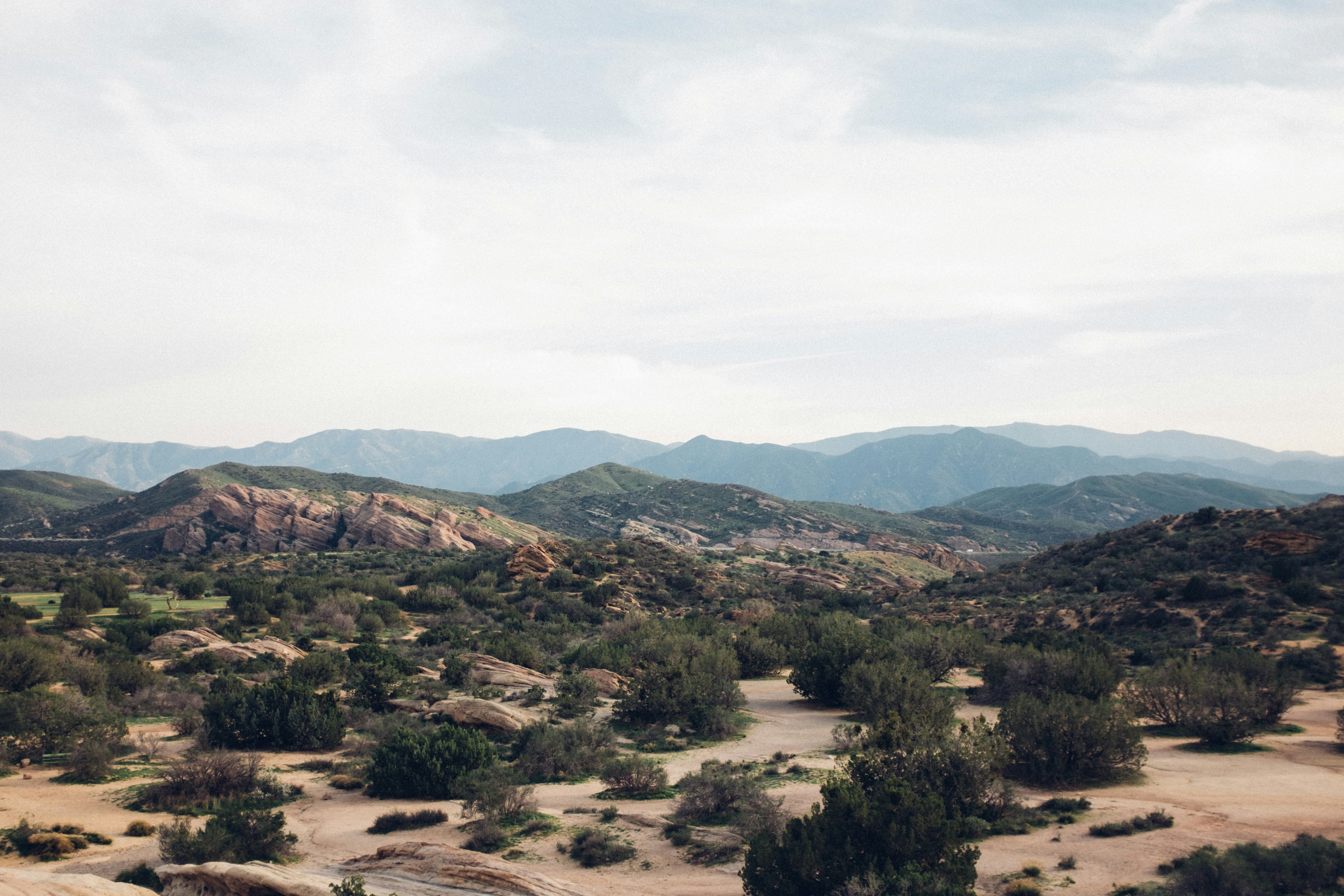 Photo by travisfishl