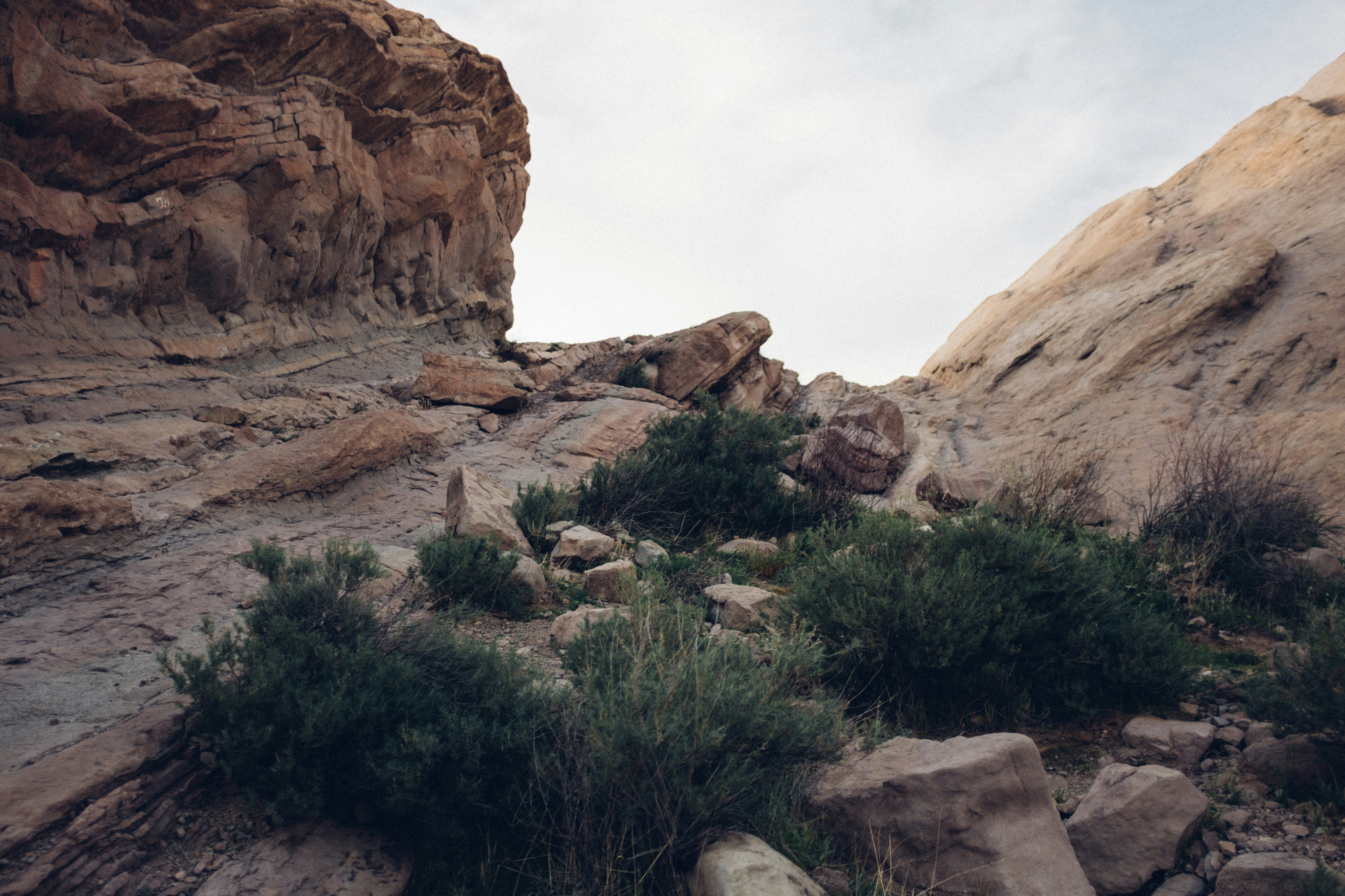 Photo by travisfishl