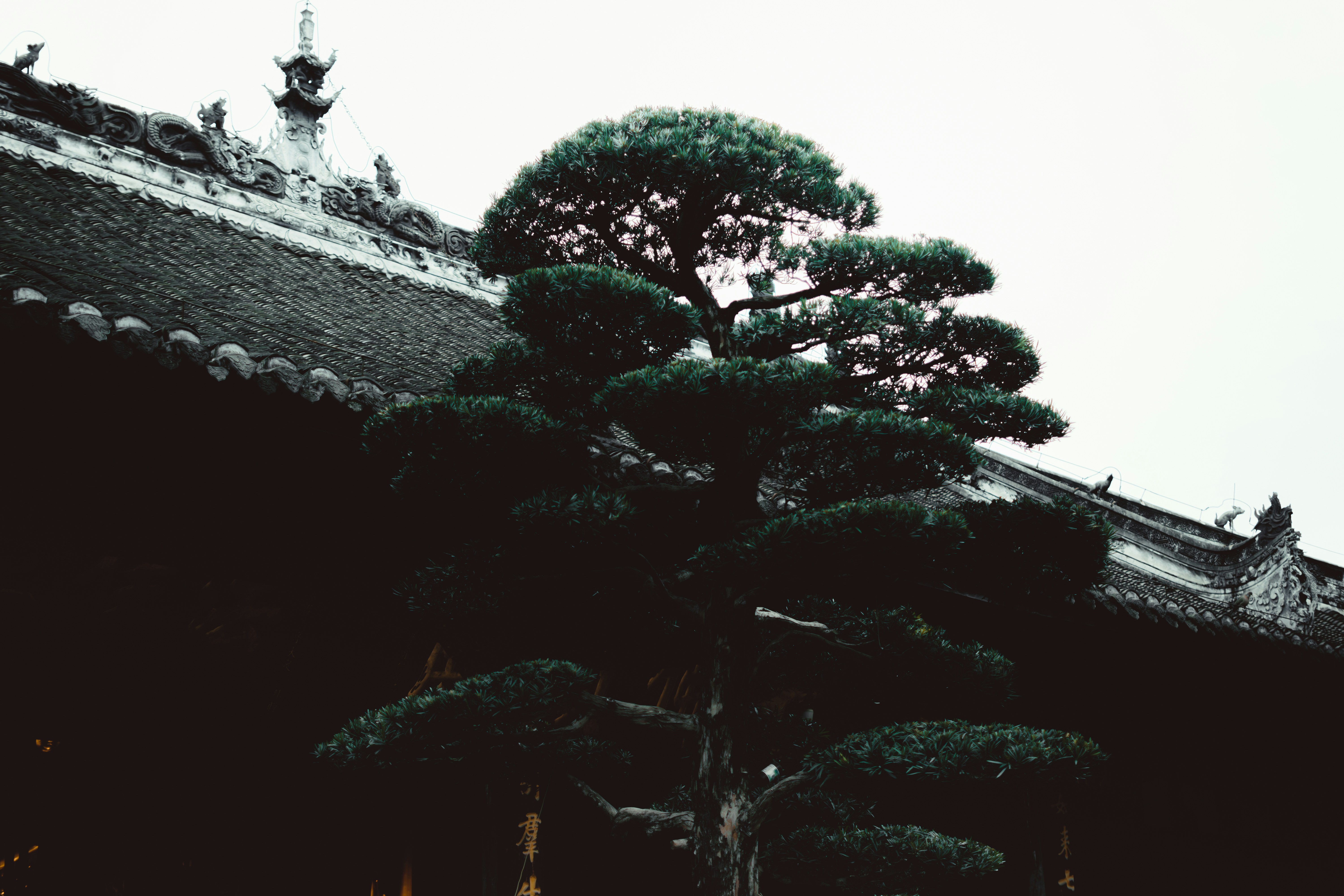 Photo by danzai_ph
