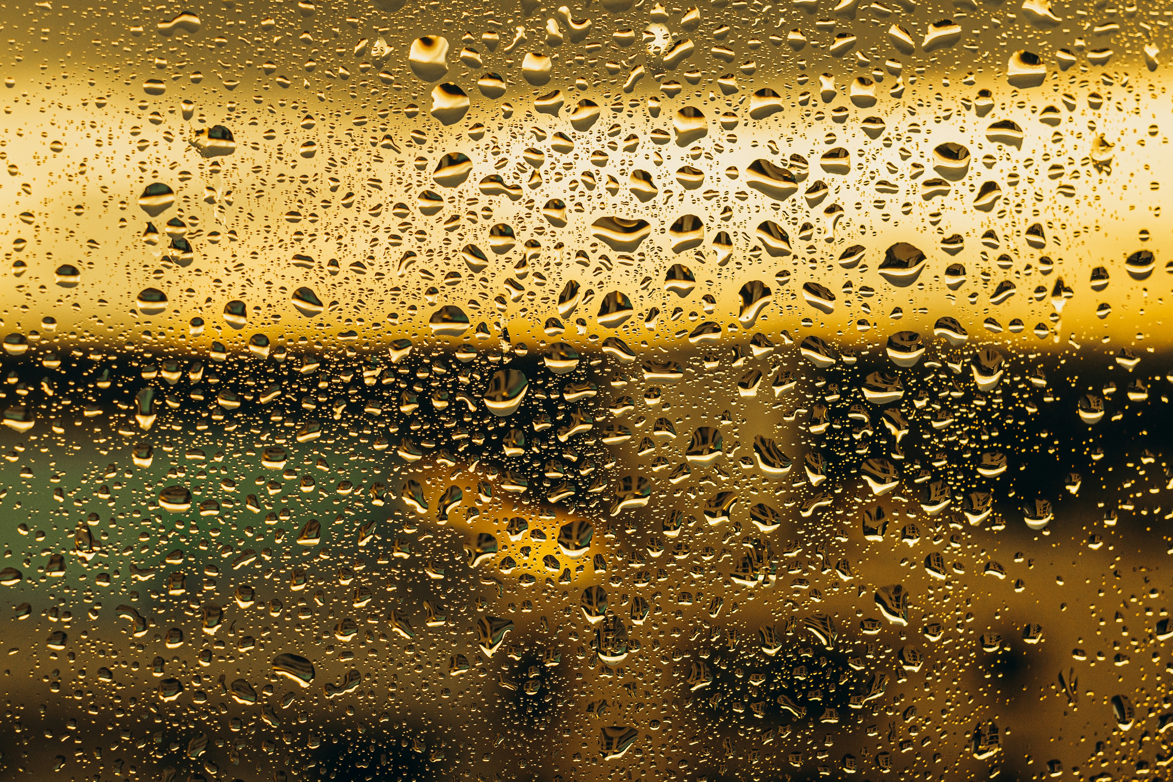 Photo by jonathanborba