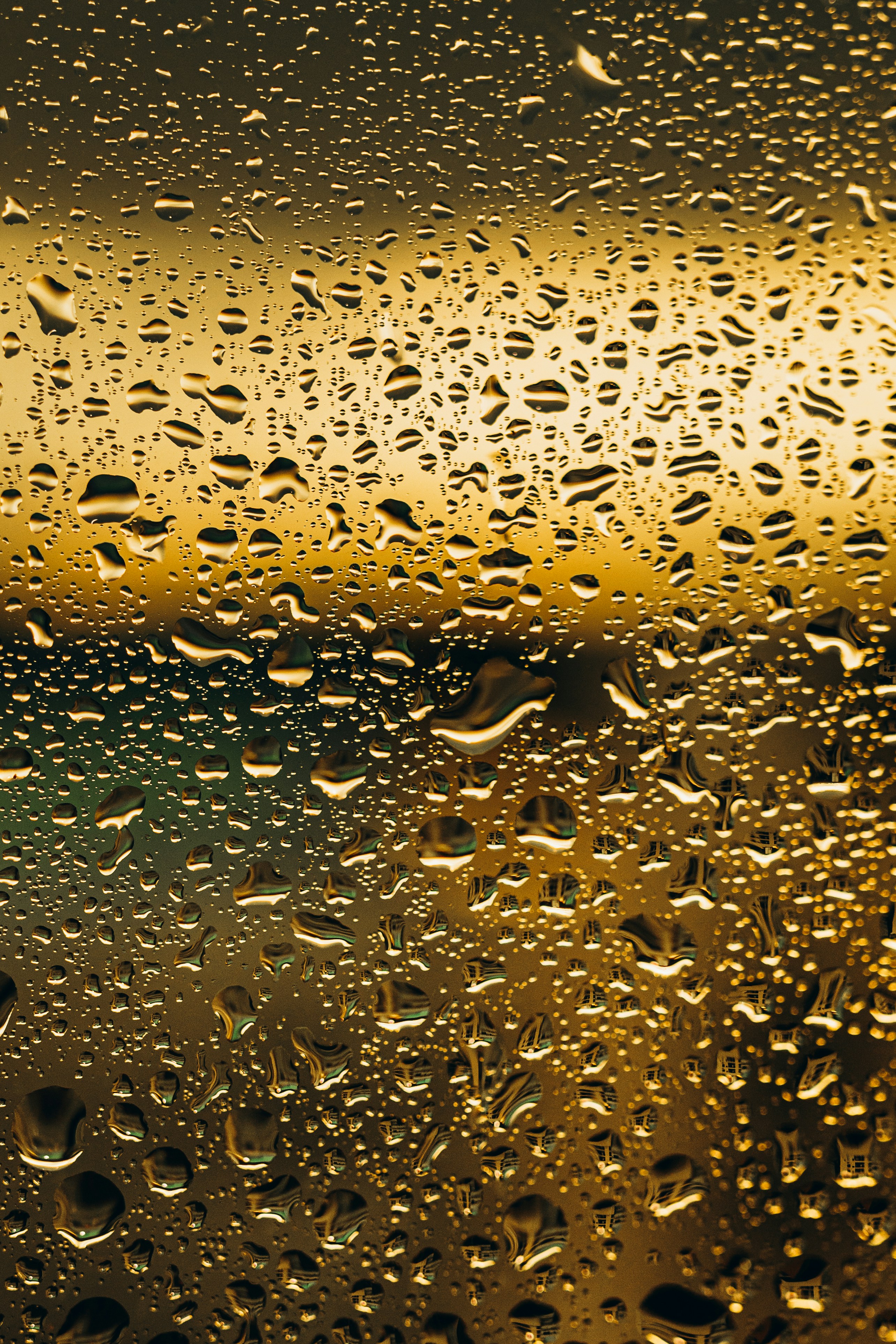 Photo by jonathanborba