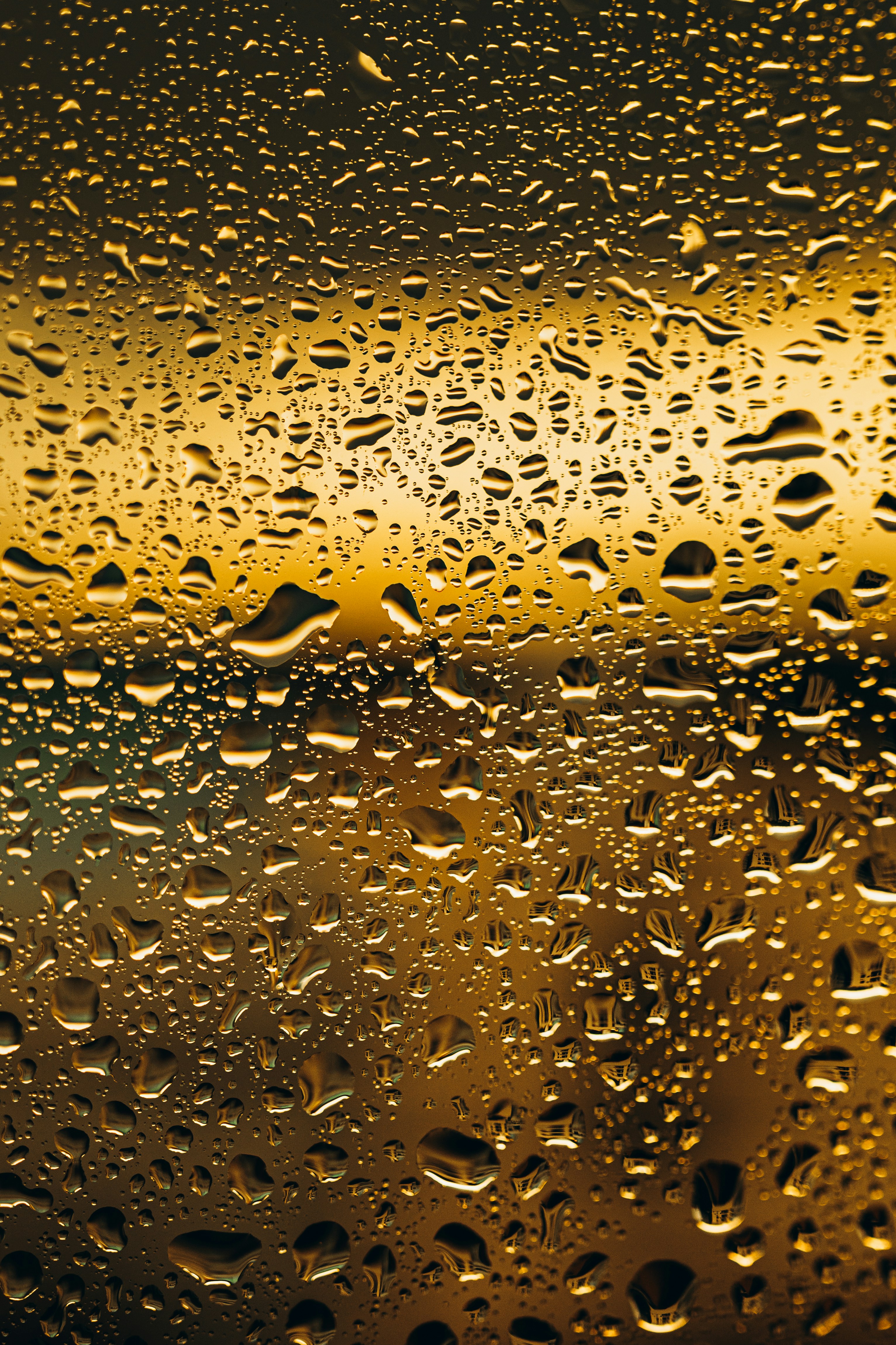 Photo by jonathanborba