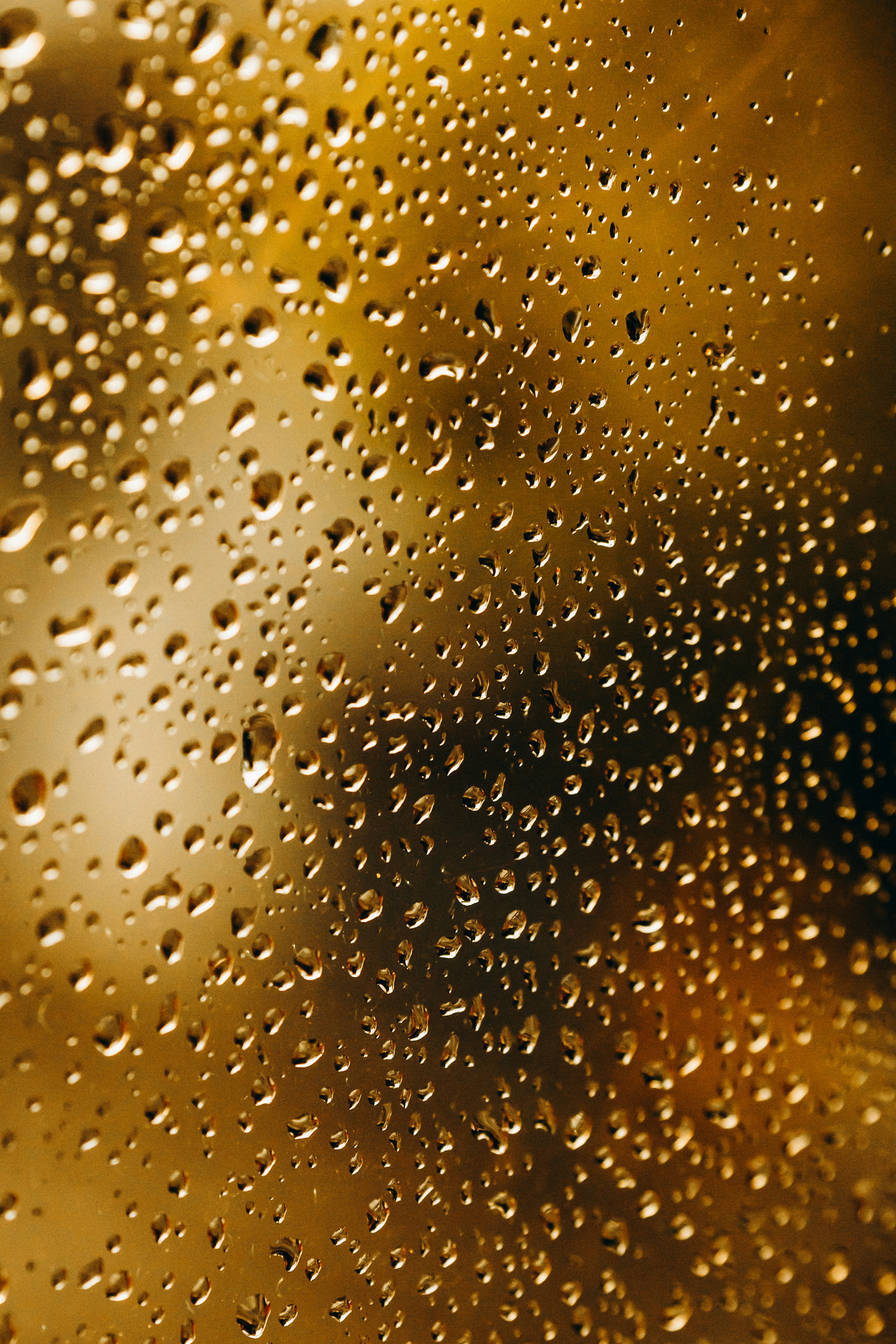 Photo by jonathanborba