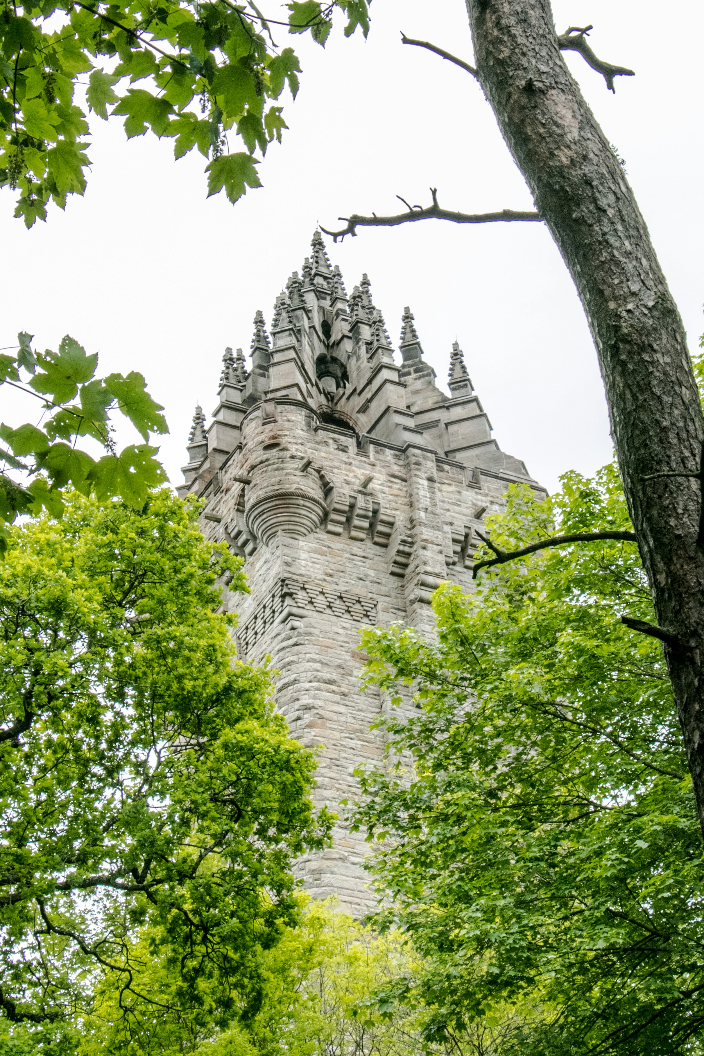 Stone monument tower framed by green trees