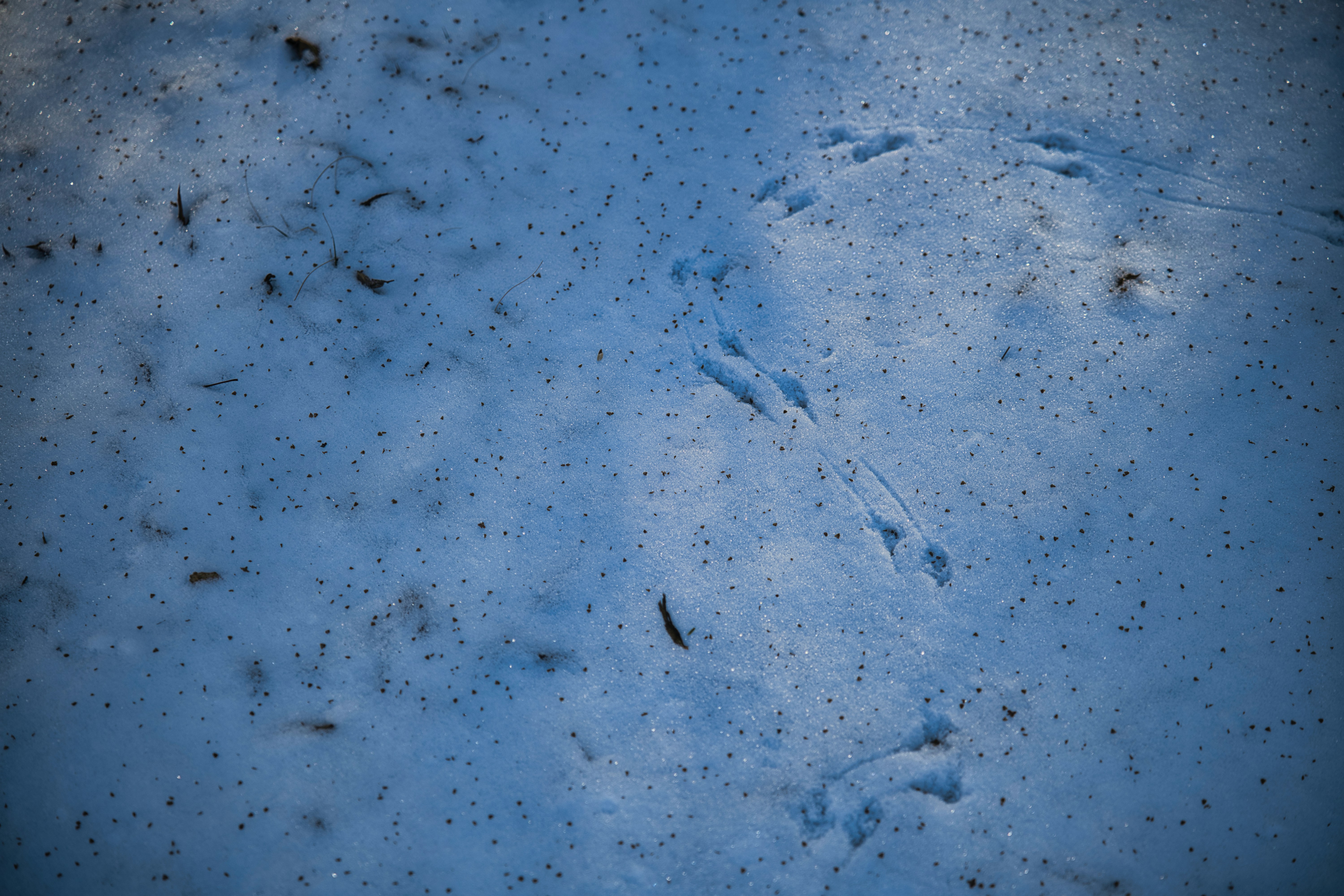 Photo by photosbymarkv