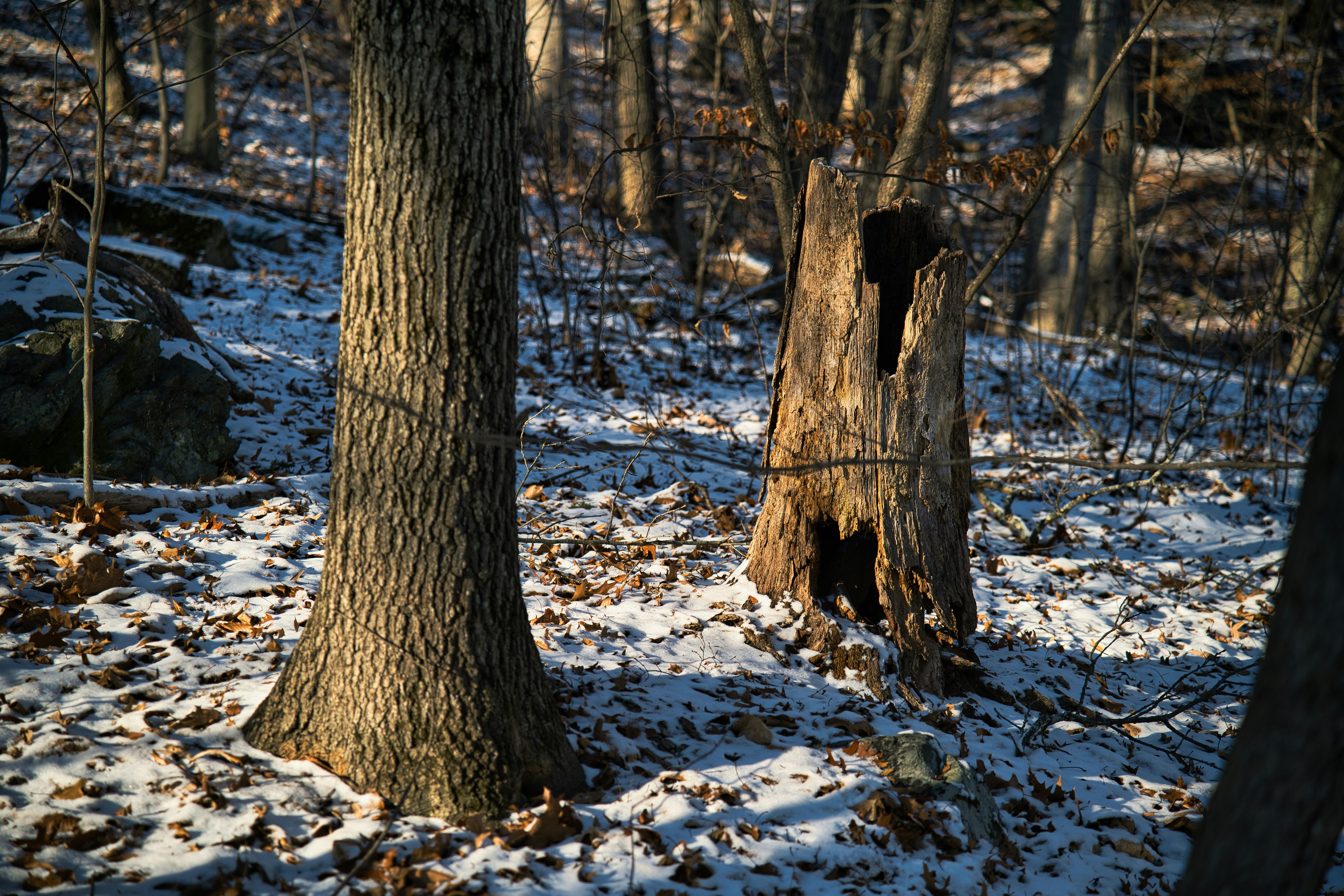 Photo by photosbymarkv