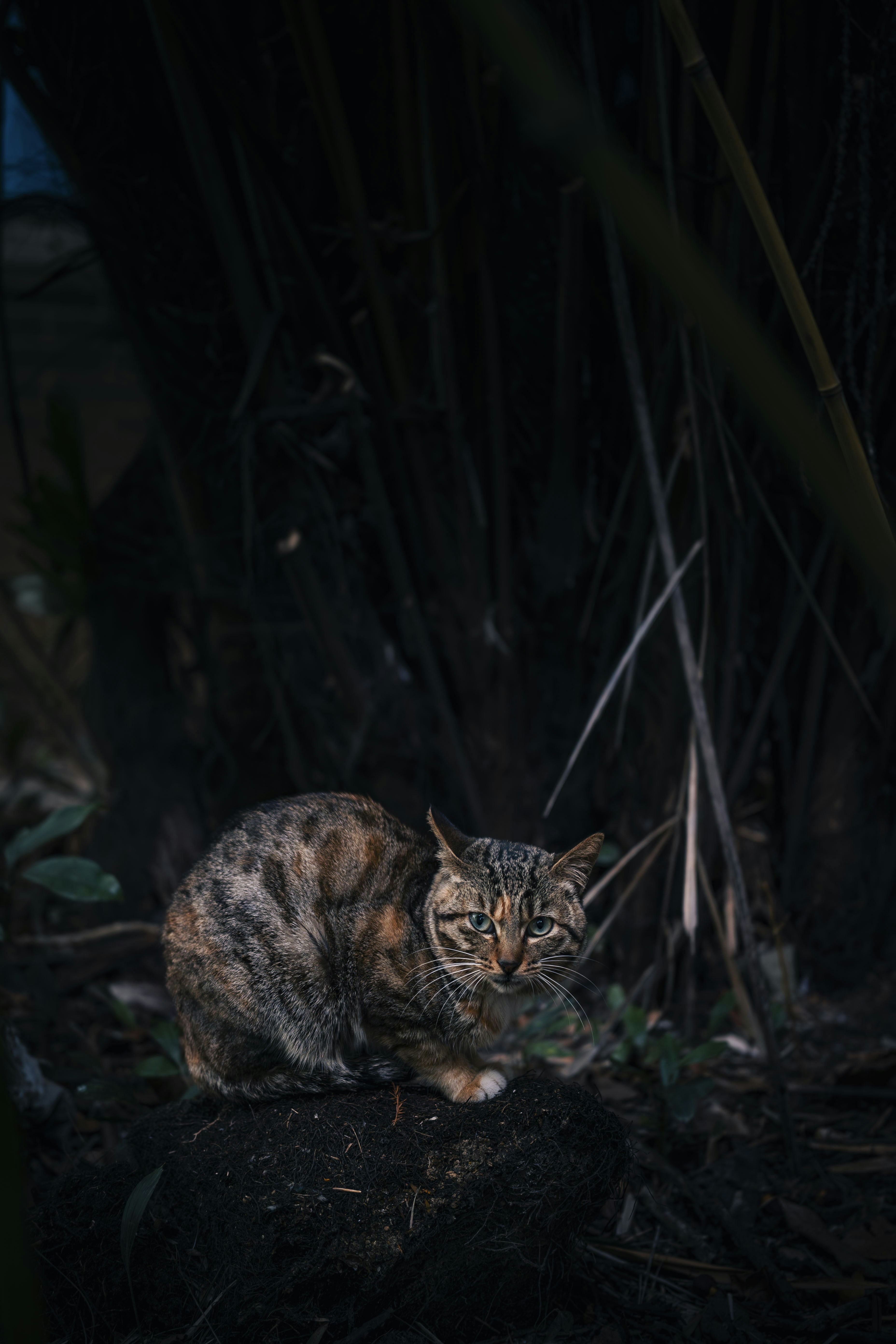 Photo by 1989folklore