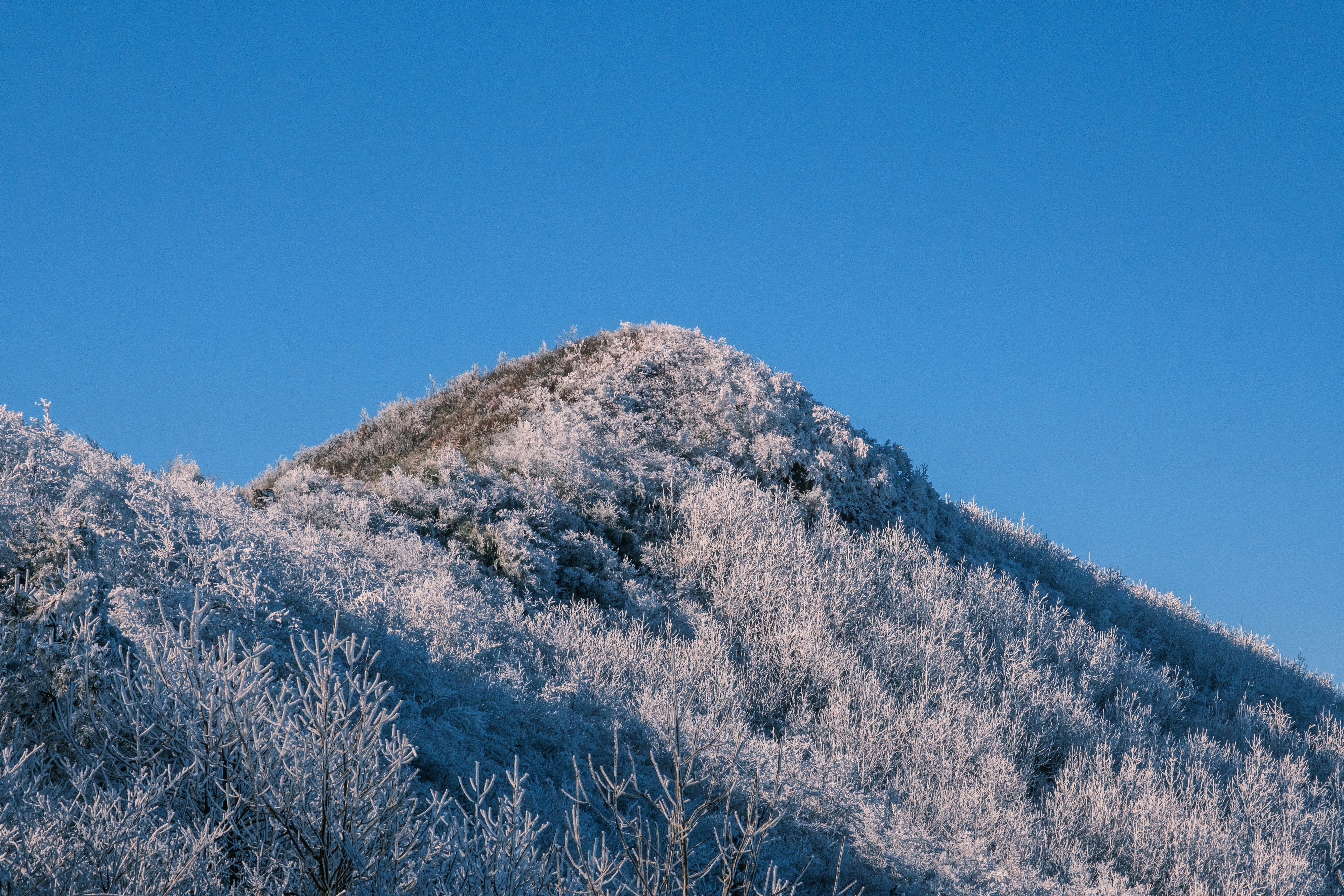 Why Peak Season Pricing is Changing in 2026 and How Senders Can Adapt