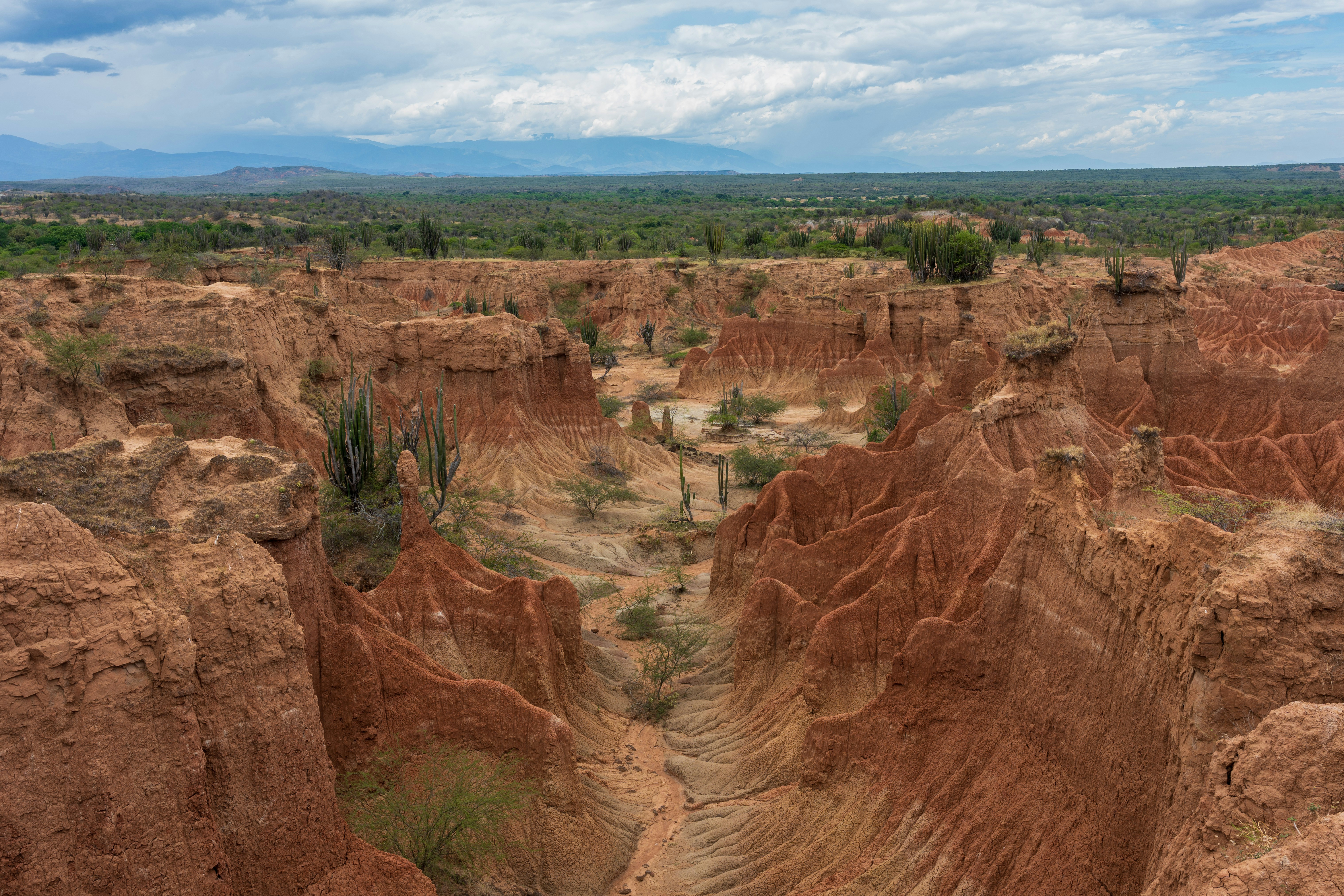 Arid desert landscape with red rock formations and sparse vegetation.