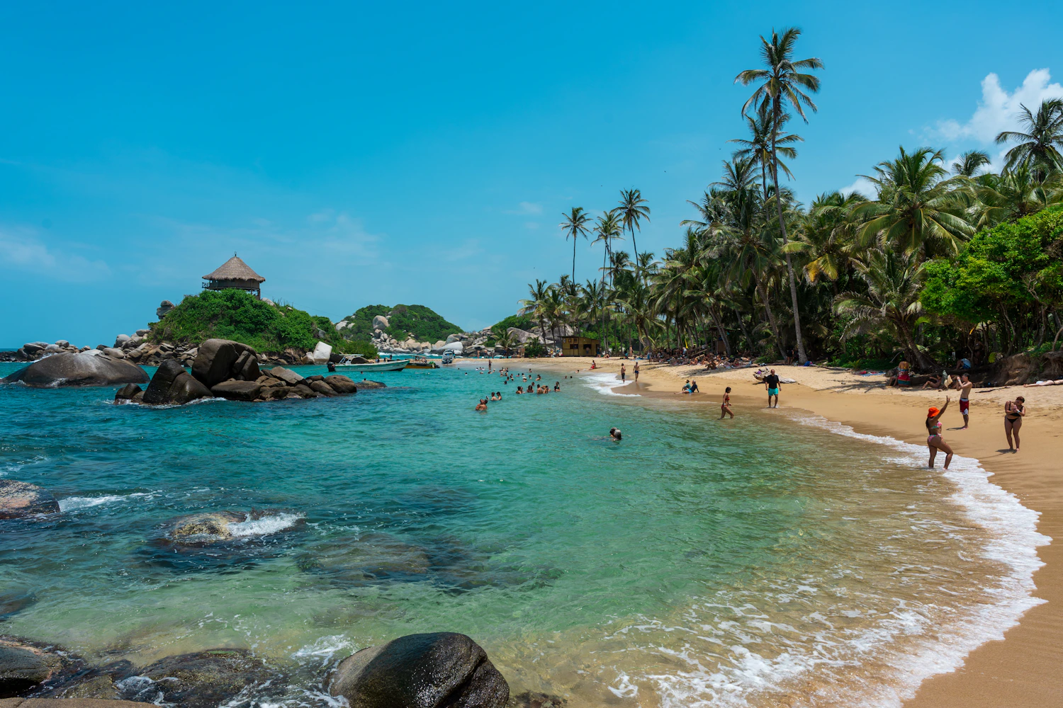 Tropical shoreline with turquoise water and palm trees
