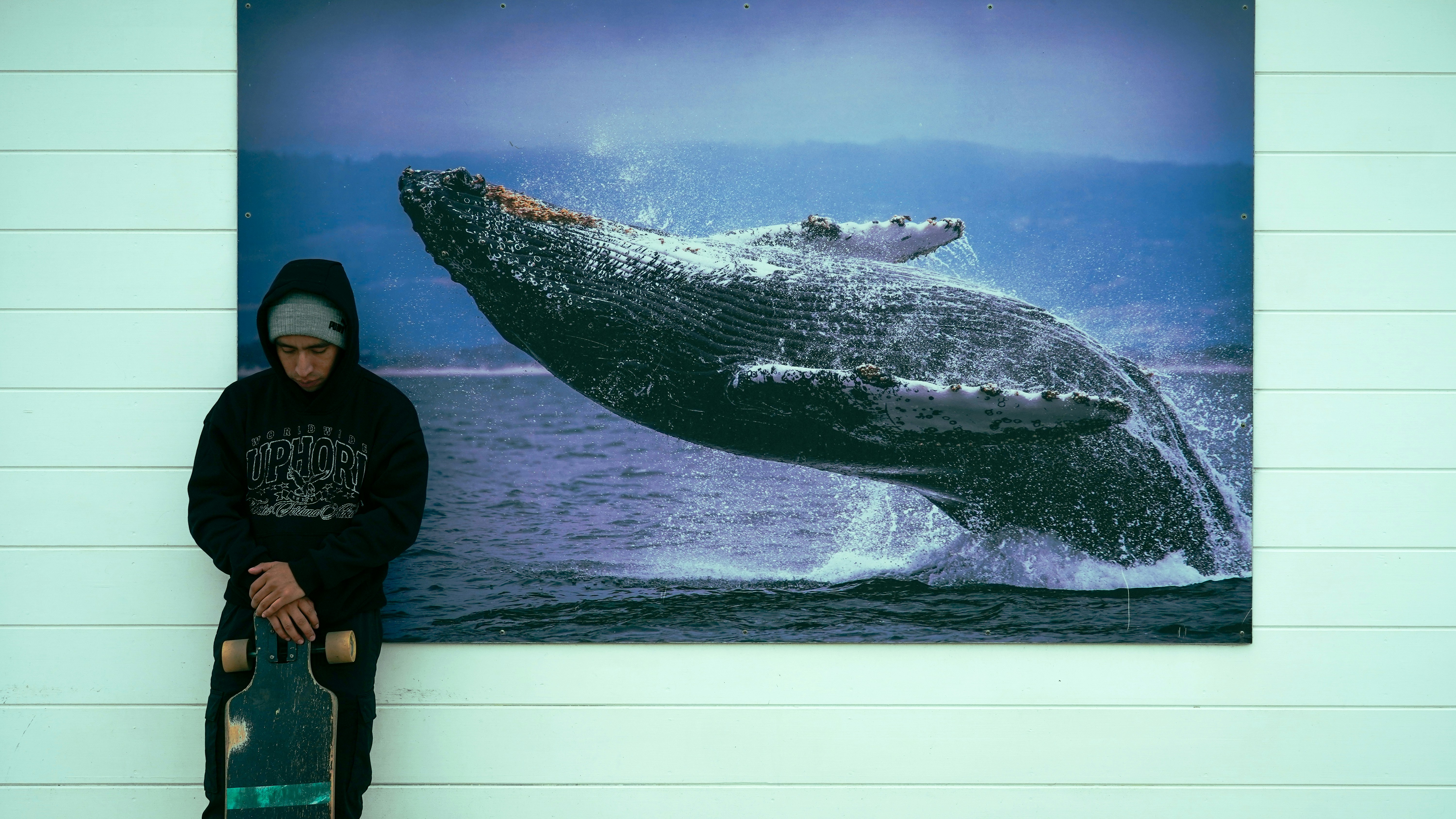 Person mit Skateboard neben Wal-Kunstwerken