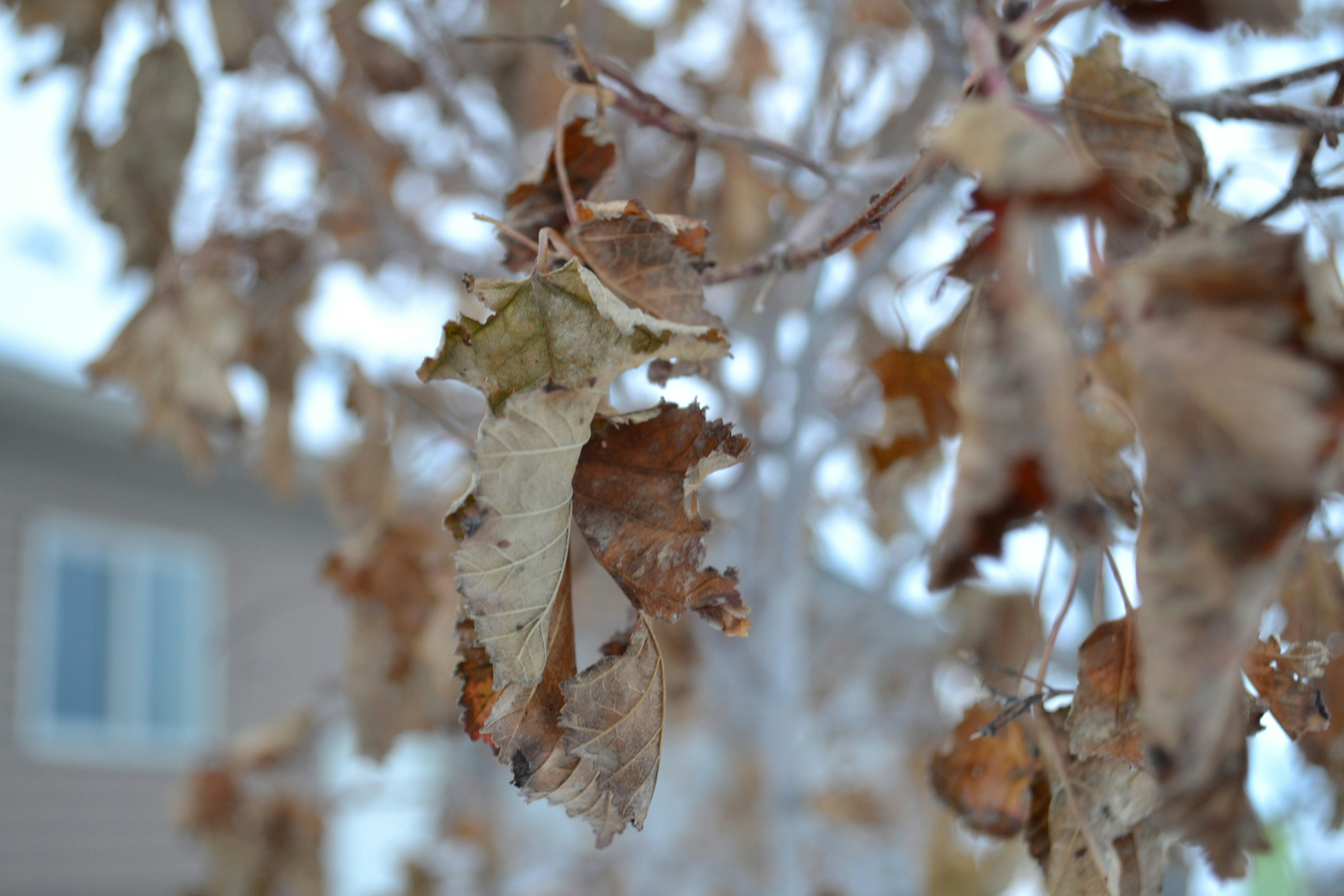 Photo by jasonhowells26