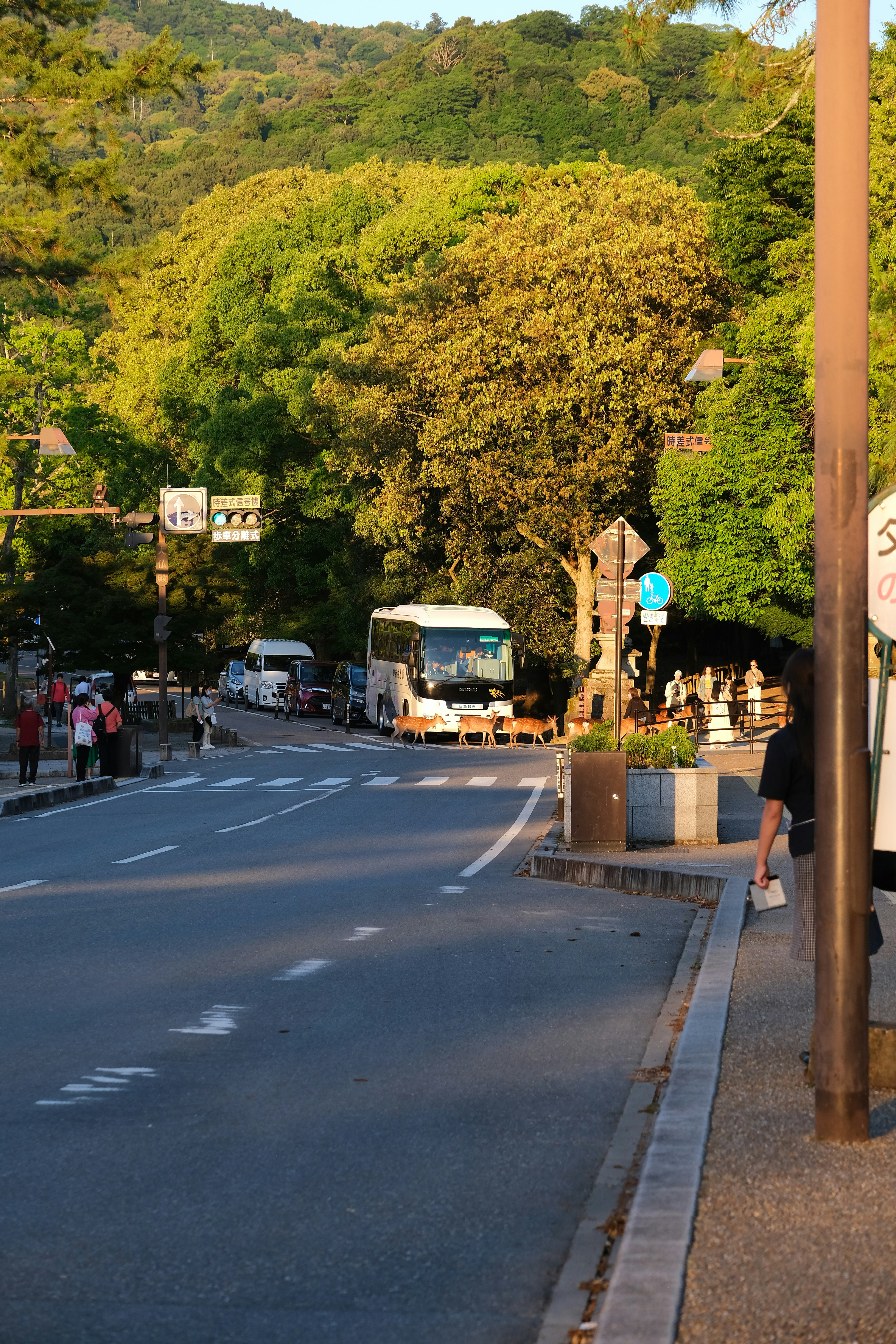 A bus on a road with trees and people.