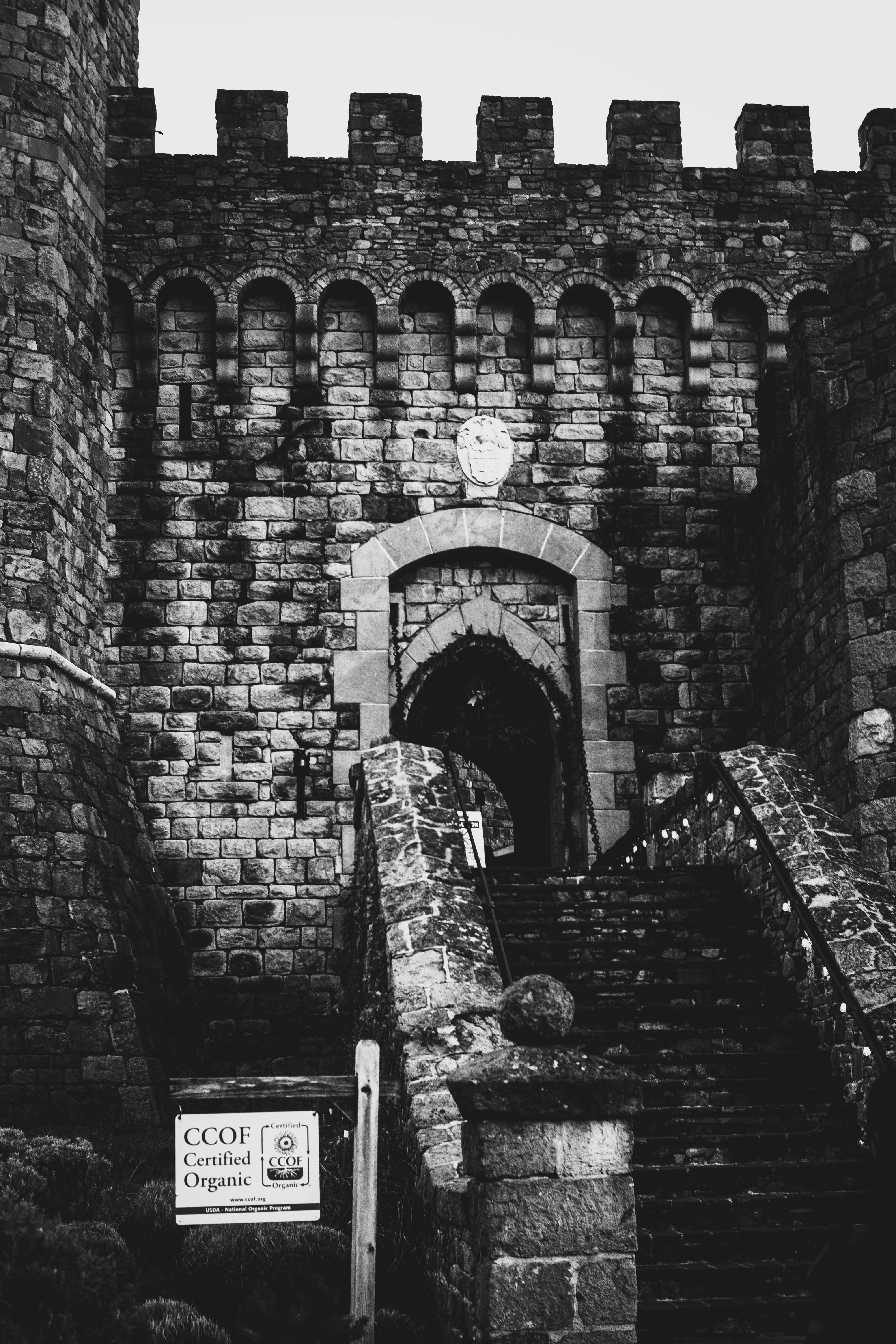 Photo by madeline_sd