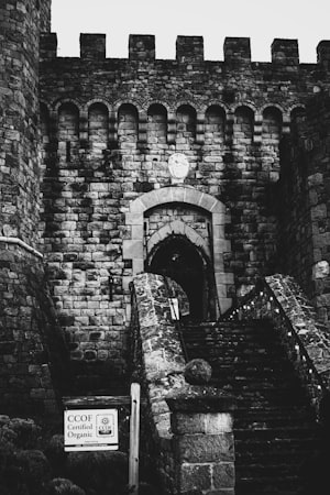 Porte gothique mystérieuse dans un vieux château sombre