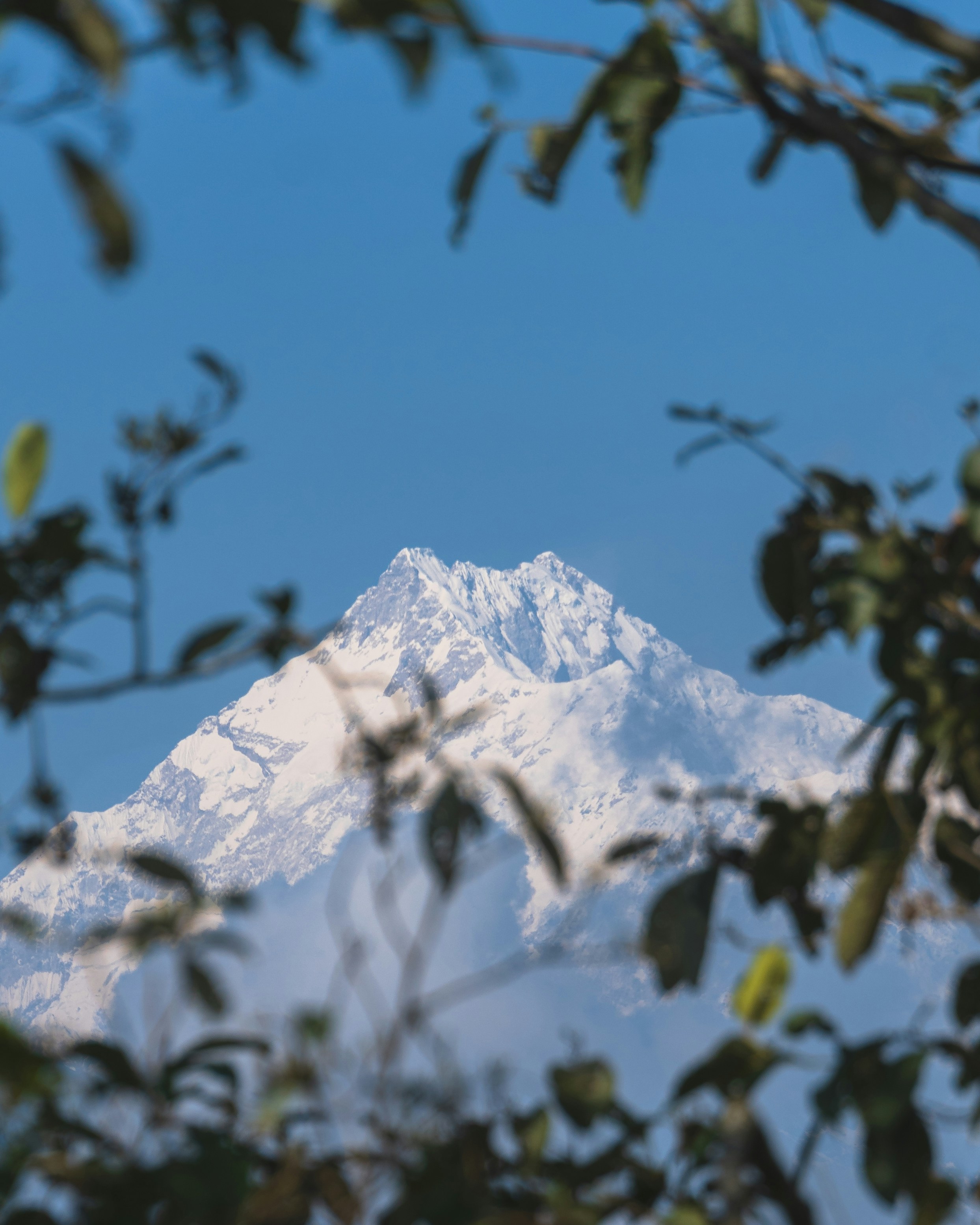 Photo by harshacrossindia