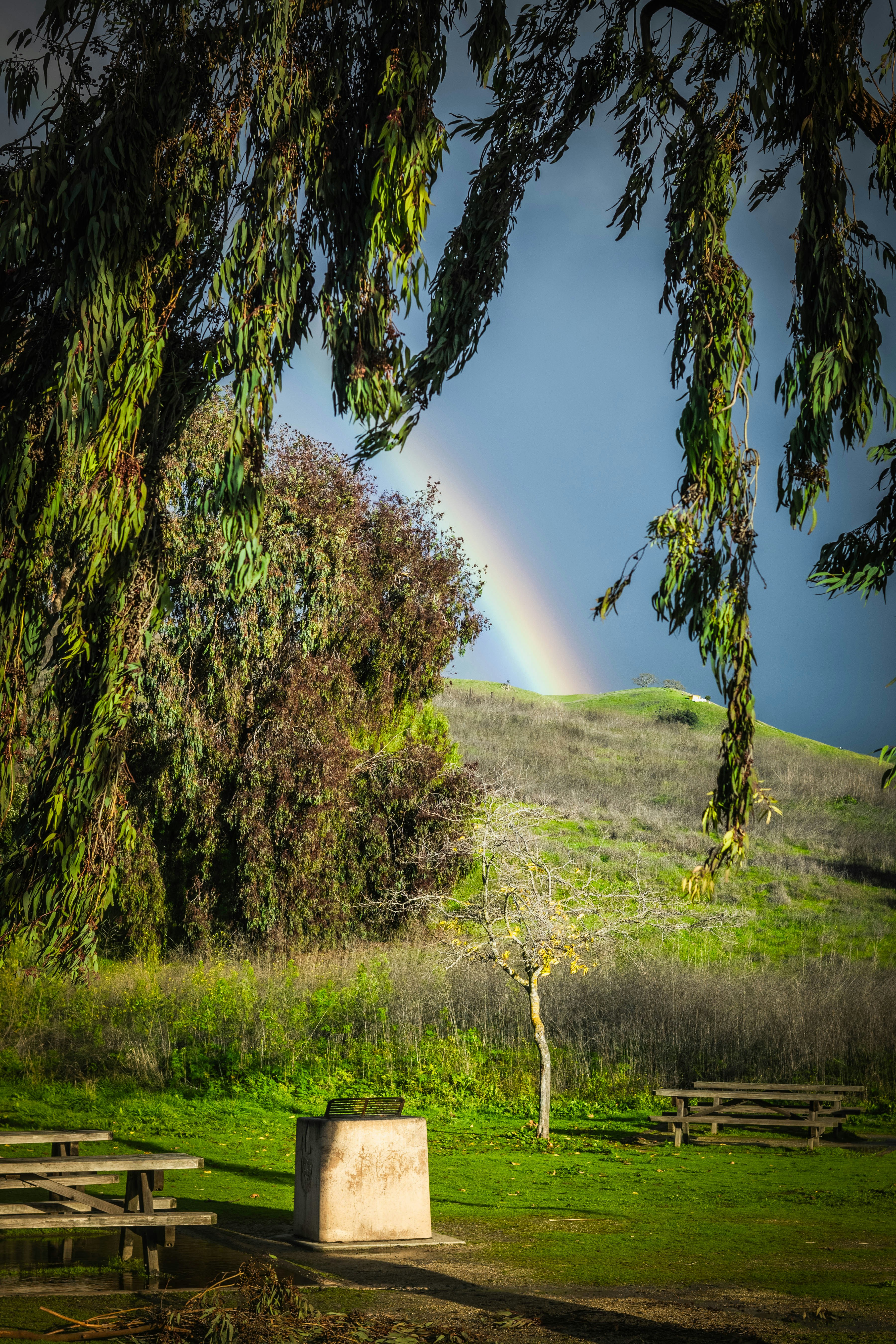 Rainbow over rolling hills with picnic tables.
