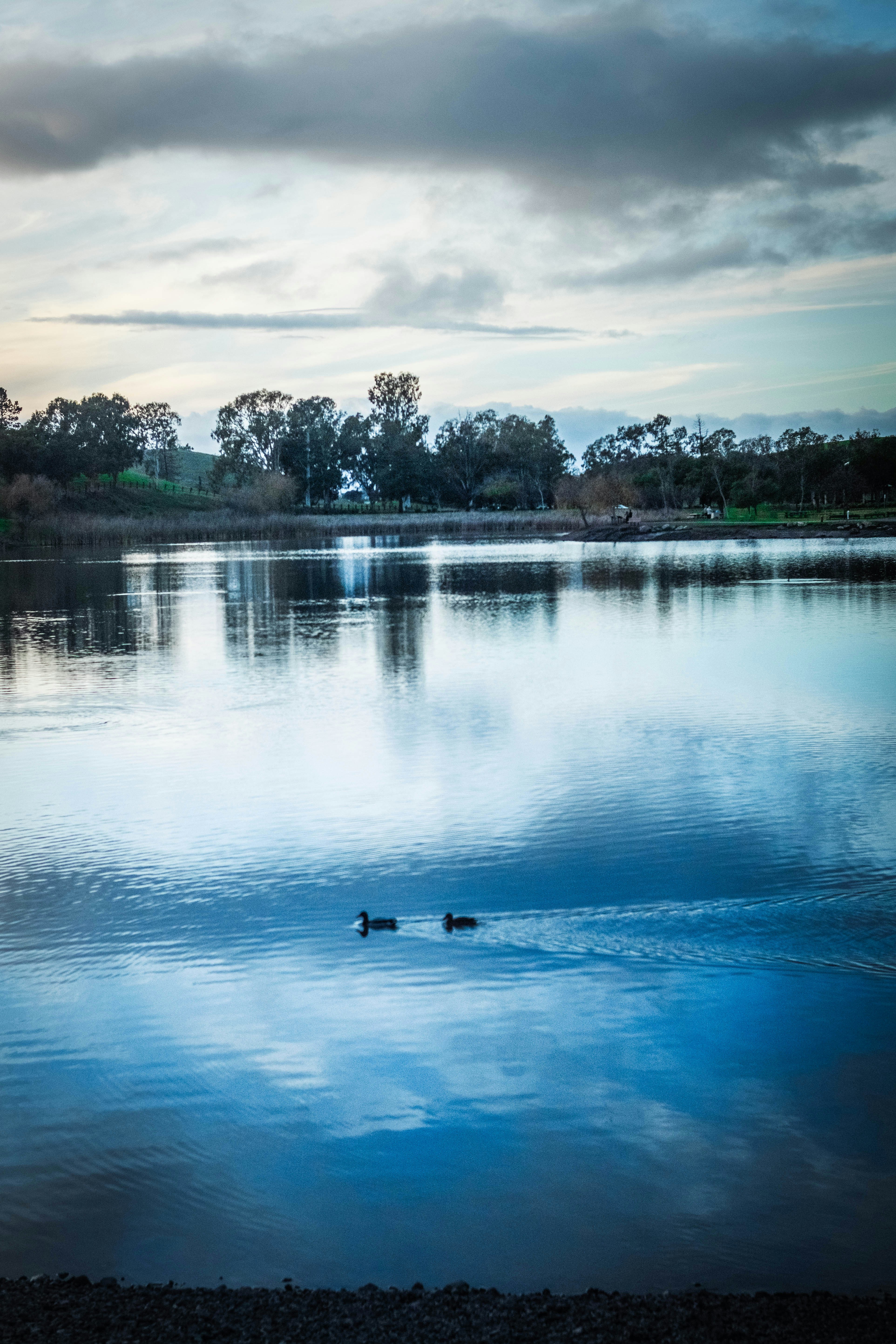 Two ducks swimming on a calm lake at dusk.