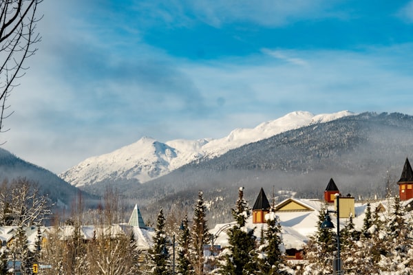 斯里兰卡山区茶园梯田