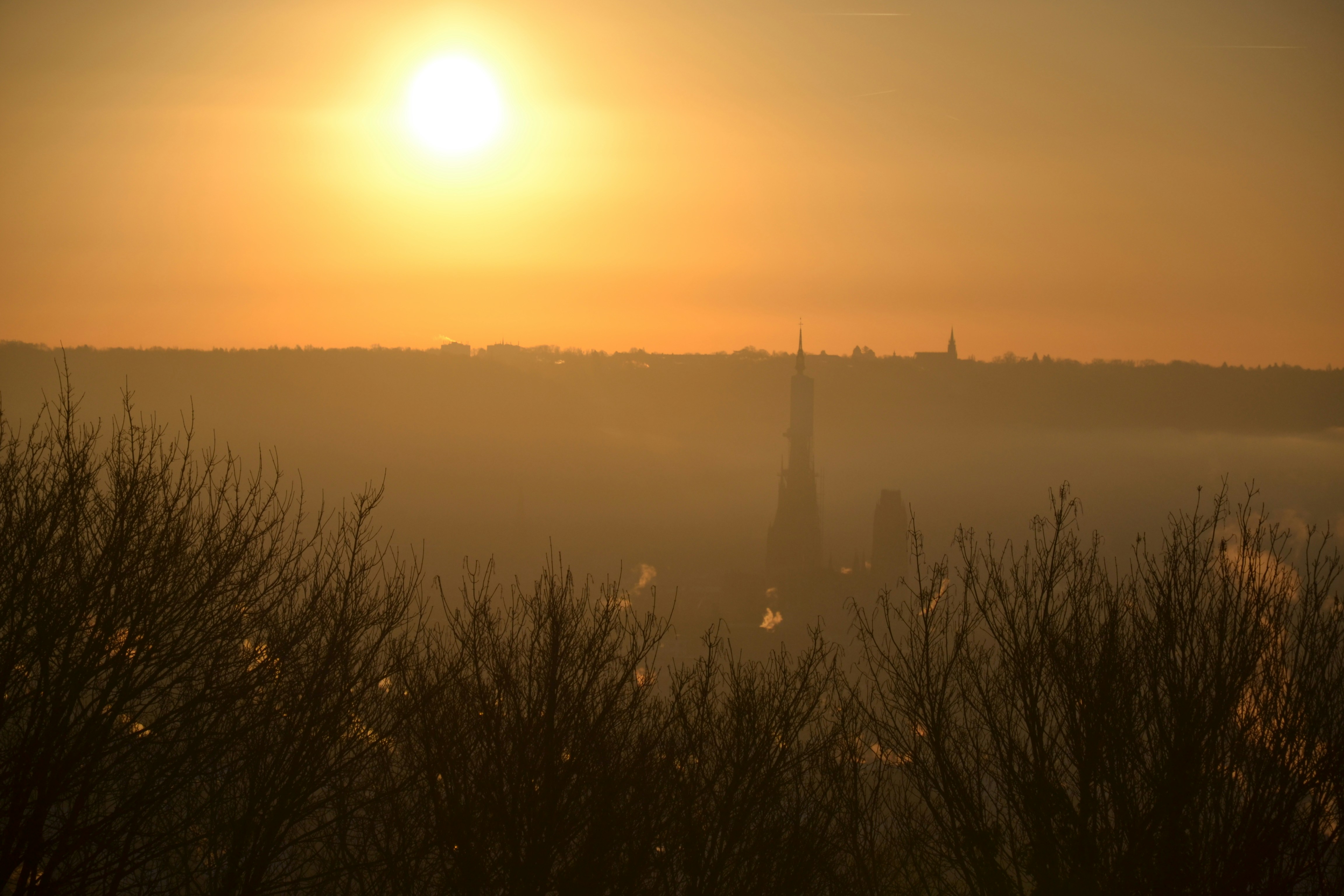 Golden sunrise over misty landscape with silhouetted bushes.