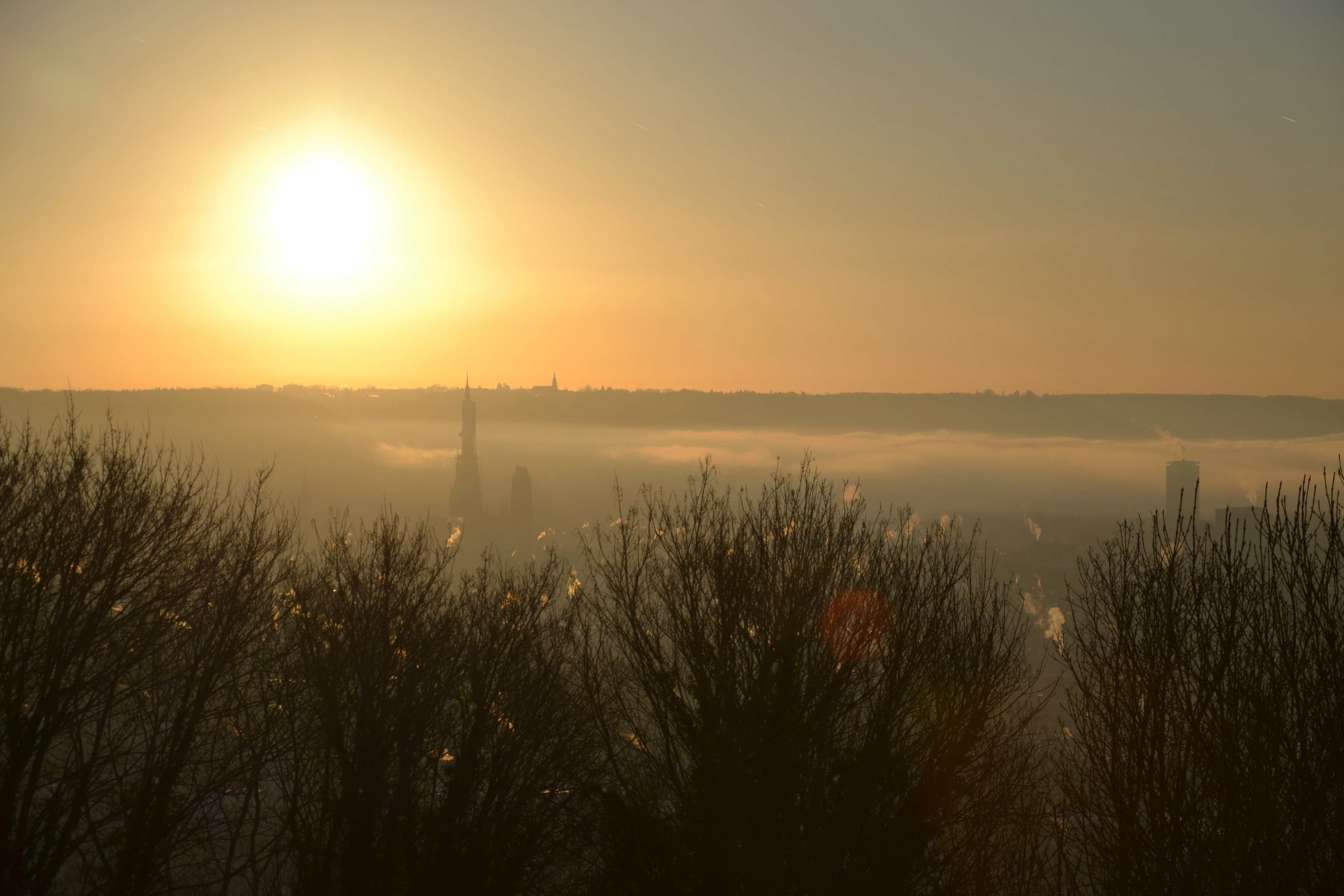 Sunrise over a misty cityscape with silhouetted trees.