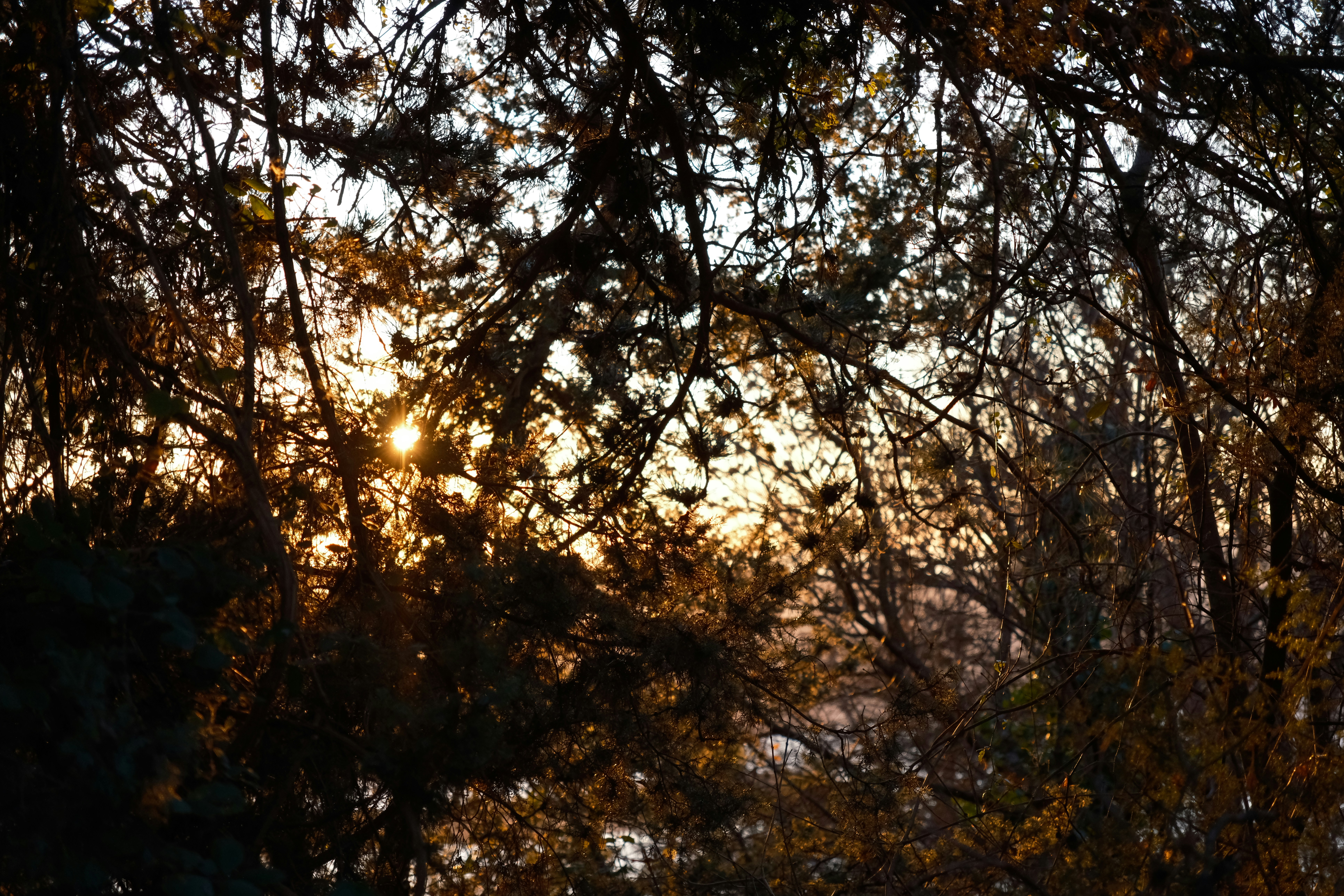 Photo by elinevanstraelen