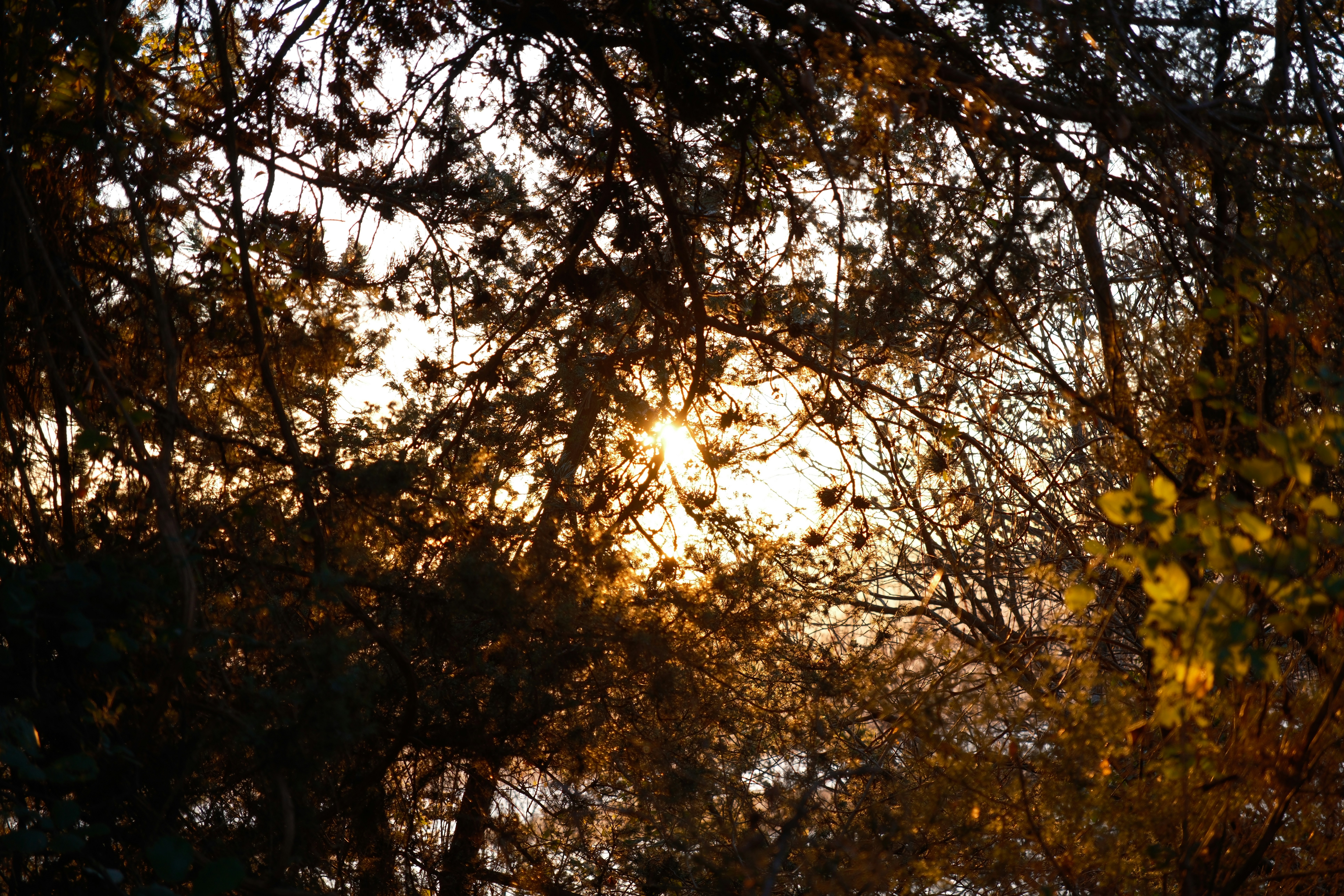 Photo by elinevanstraelen