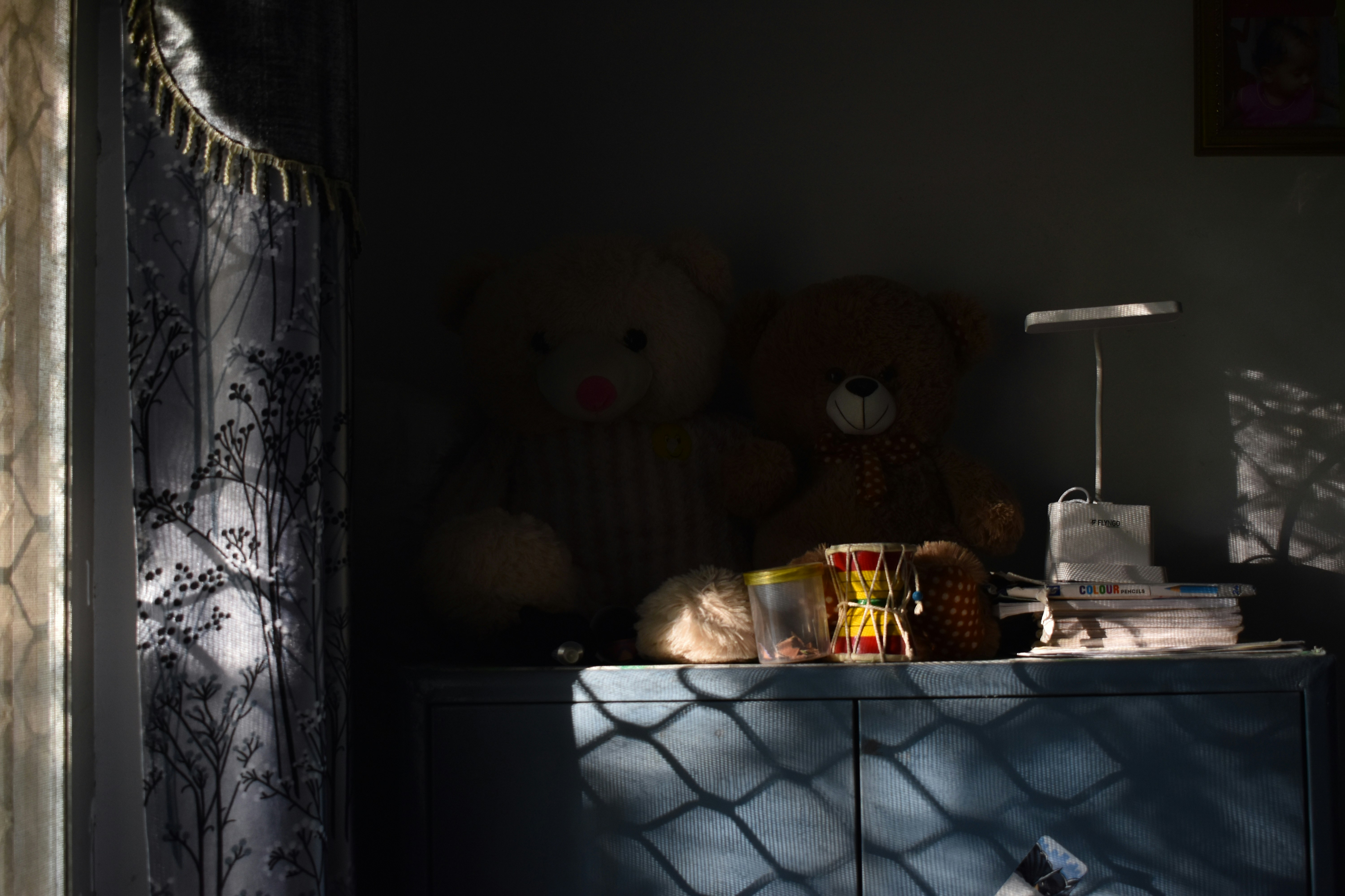 Two teddy bears sit on a shelf with sunlight.